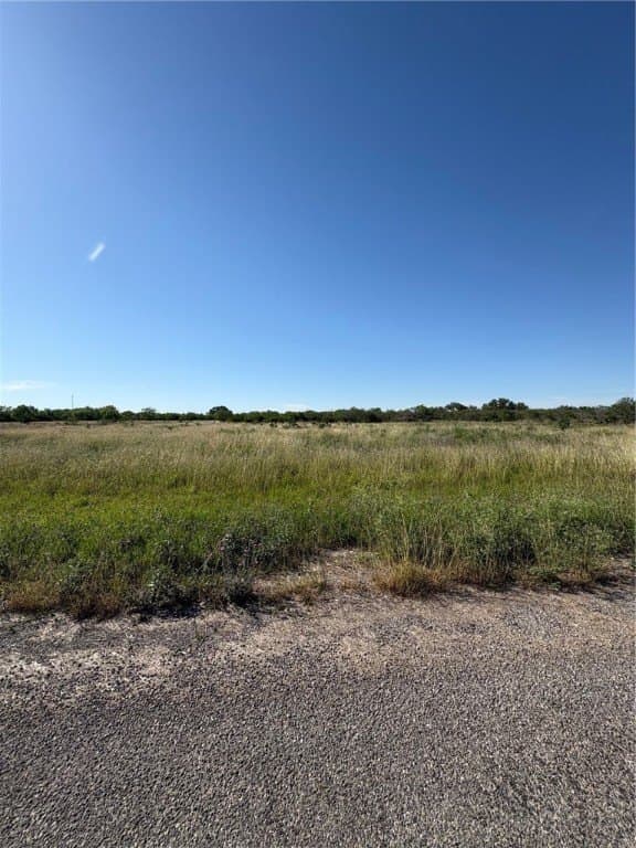 0 acres in Bee County featured view