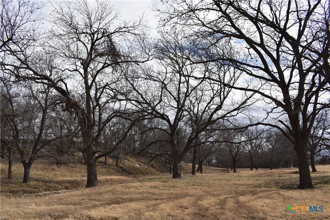 70.21 acres in Hamilton County - photo 14