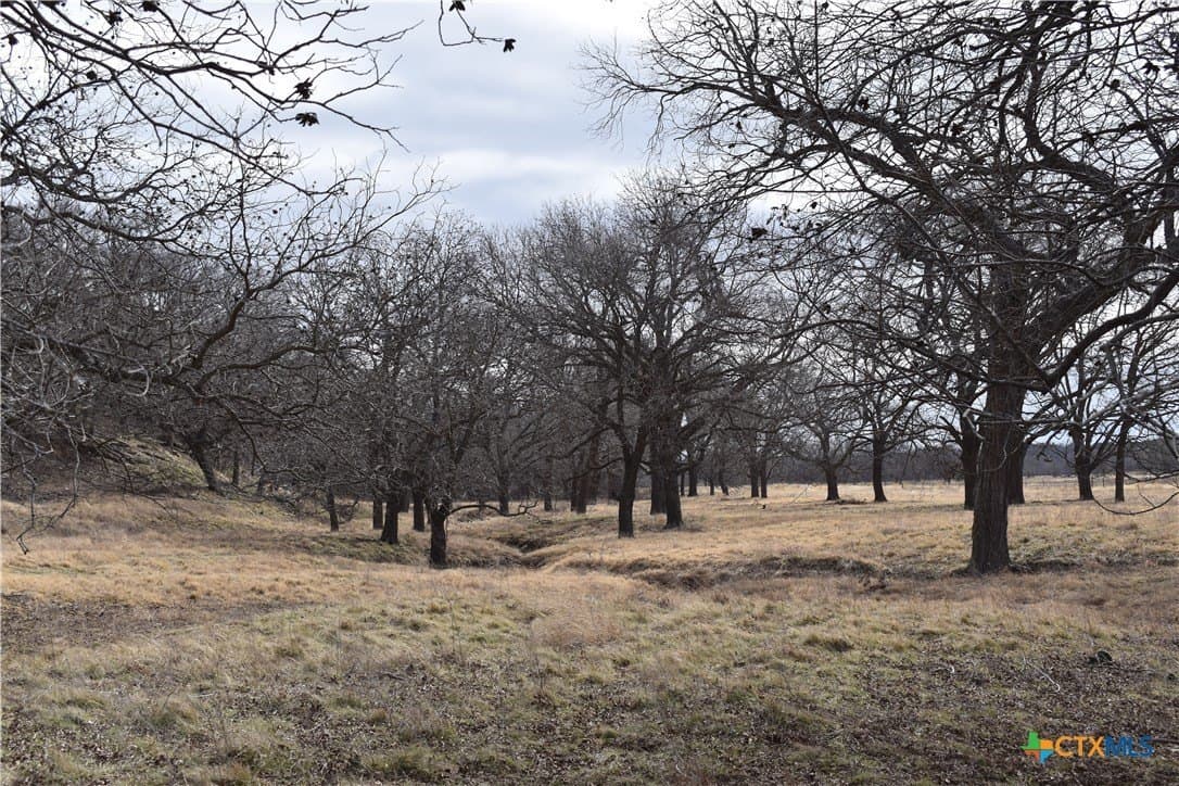 70.21 acres in Hamilton County - photo 9