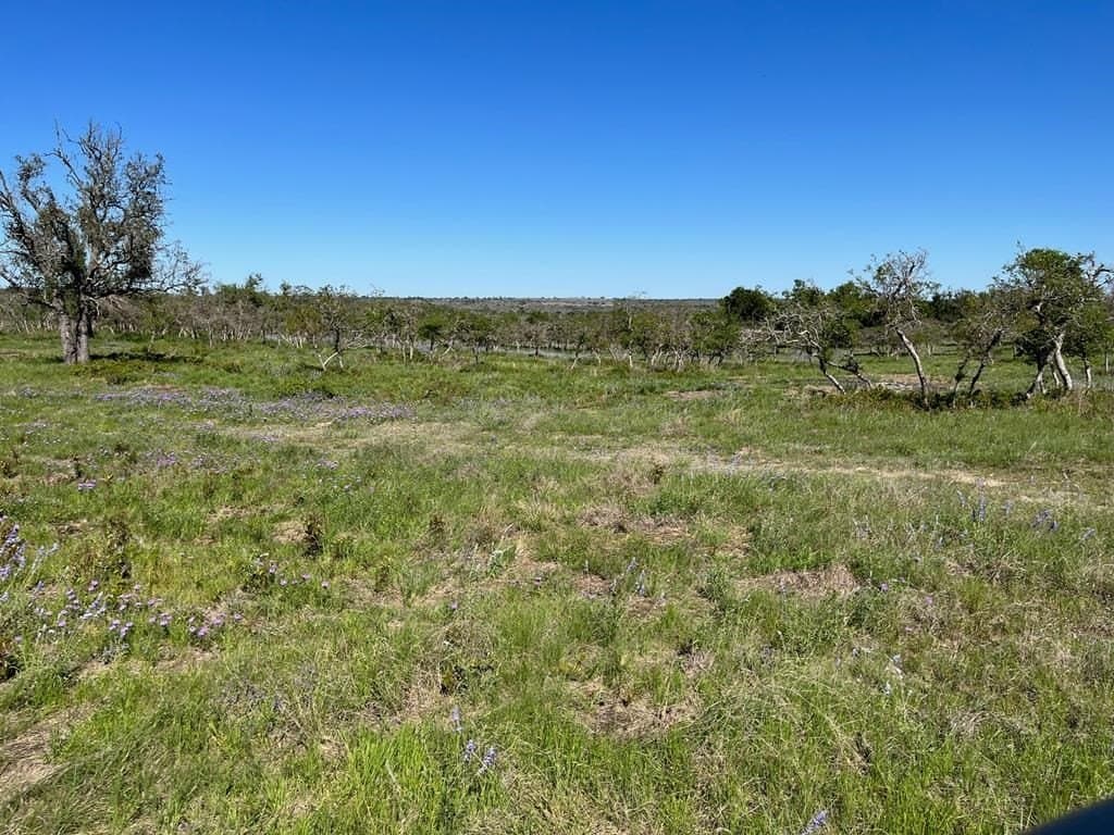 12.2 acres in Gillespie County gallery image 4