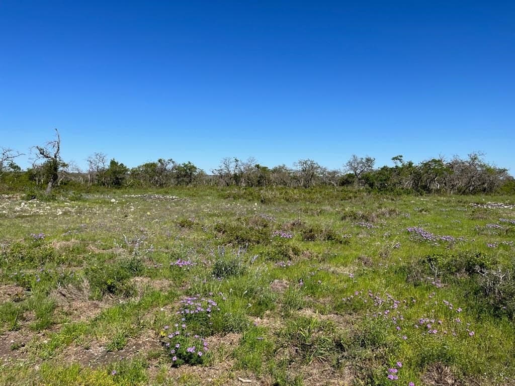 12.2 acres in Gillespie County featured view