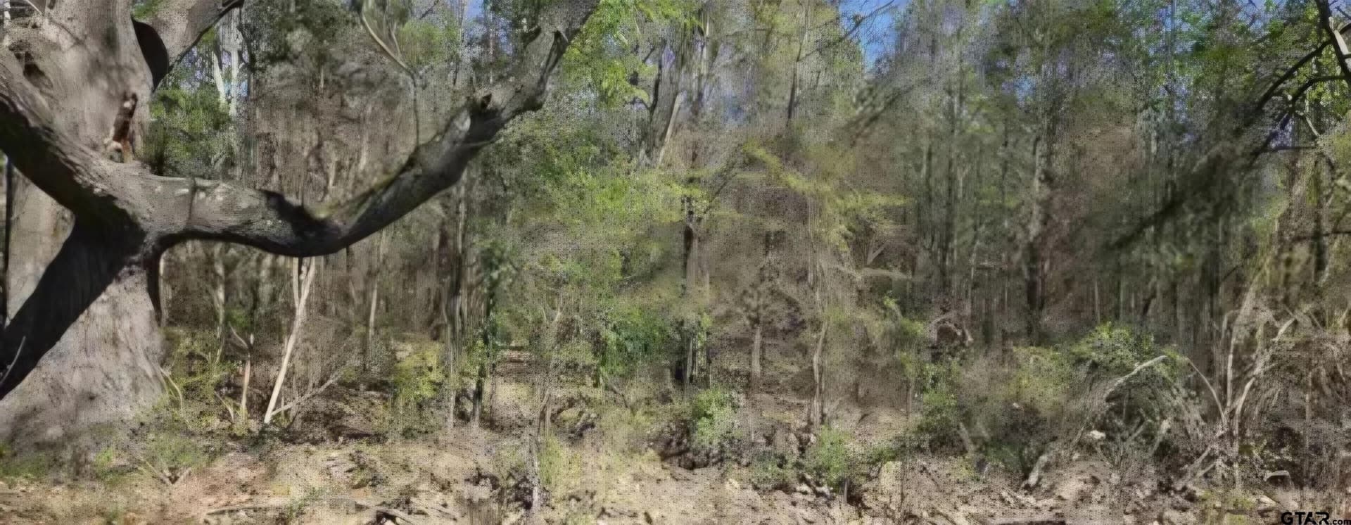 6.01 acres in Wood County - photo 3