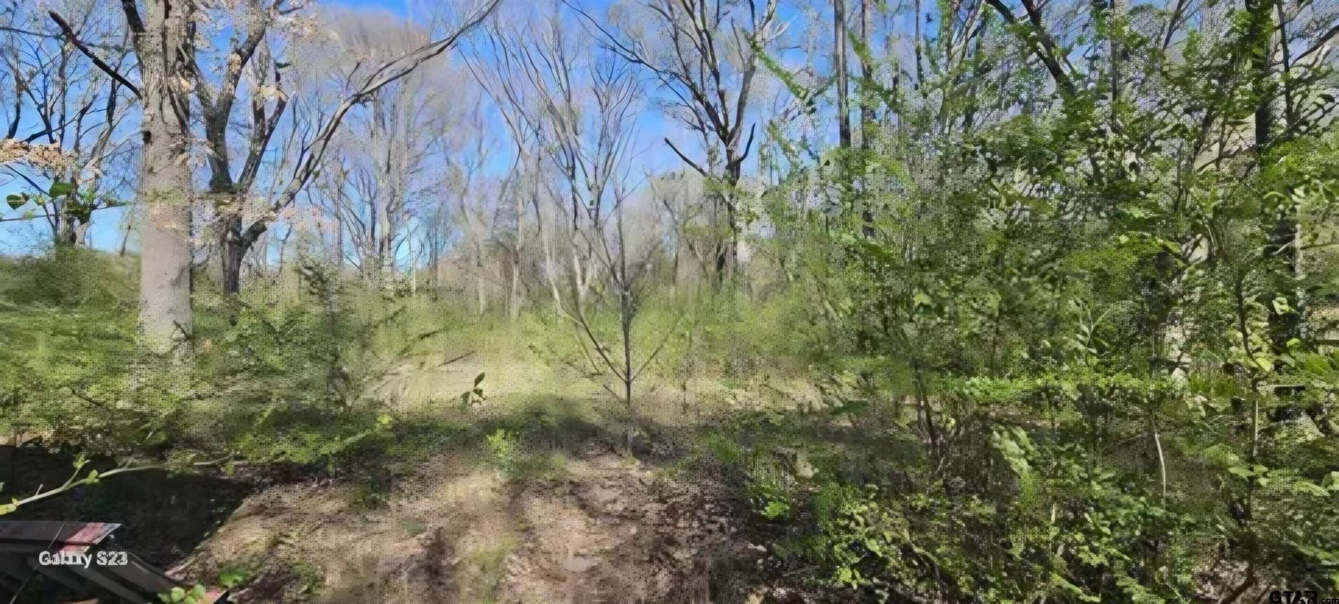 6.01 acres in Wood County - photo 2