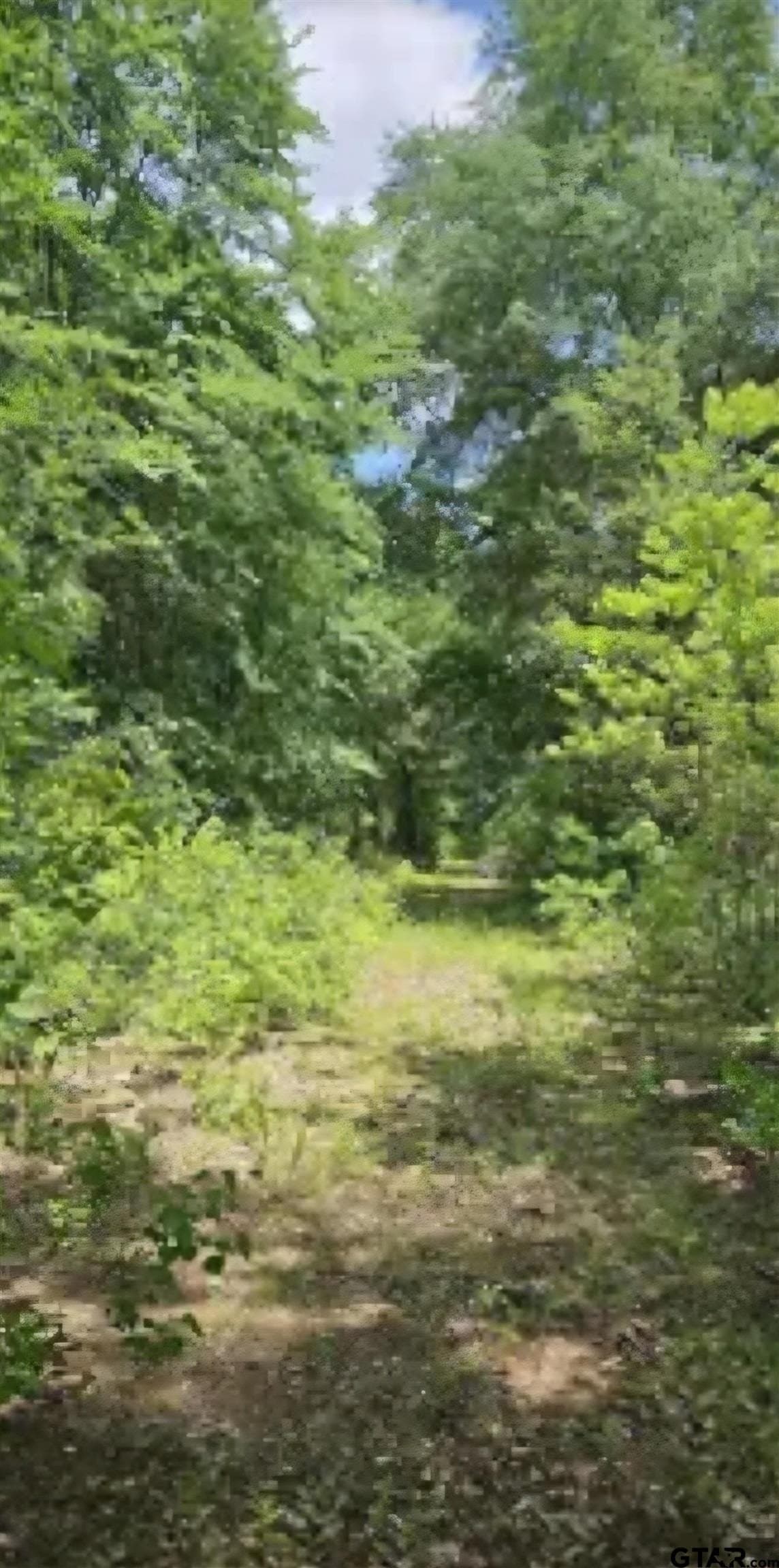 6.01 acres in Wood County