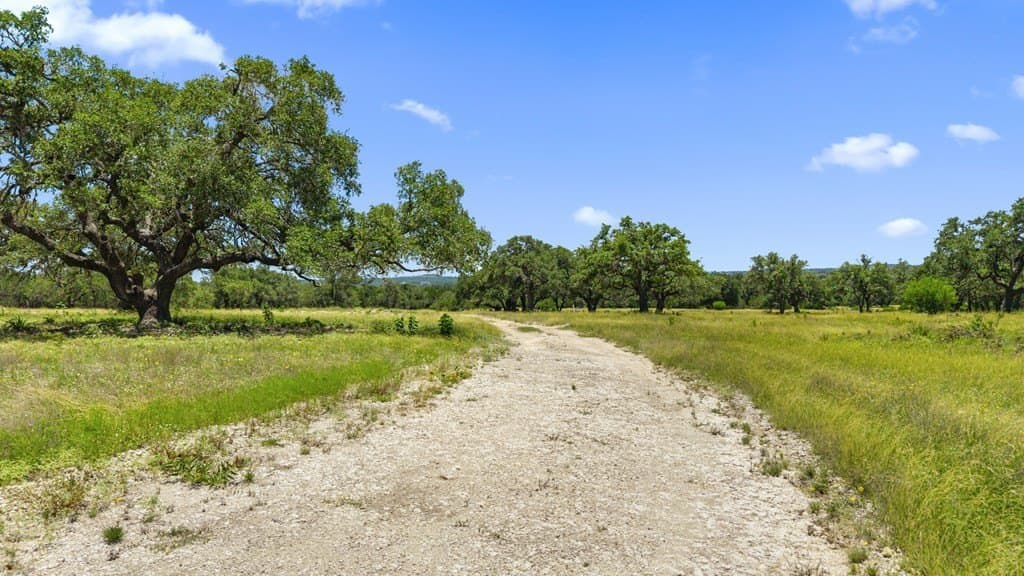 20 acres in Blanco County gallery image 3