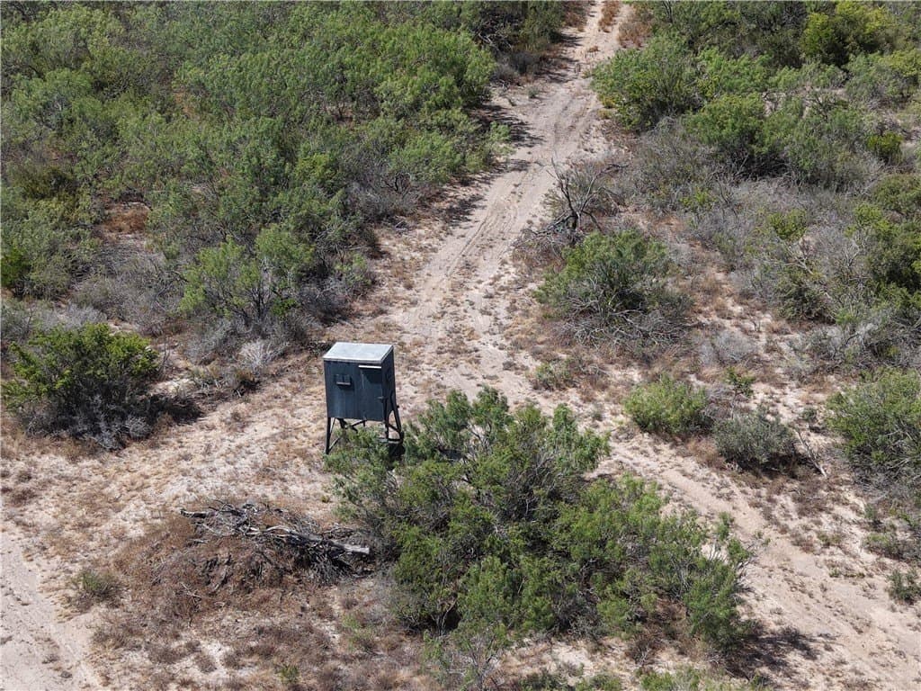 100,000 acres in Duval County - photo 31