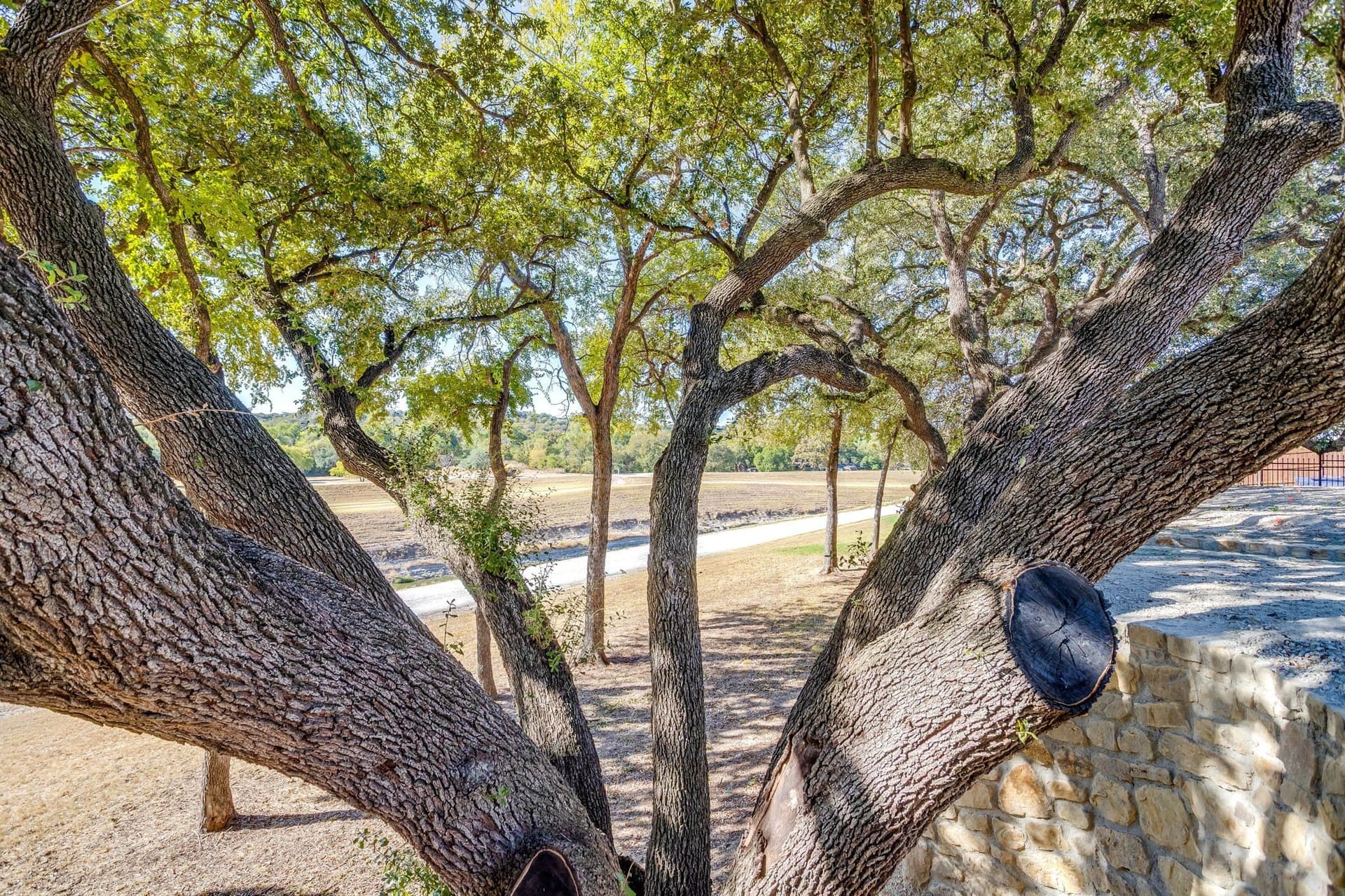 0.12 acres in Tarrant County - photo 22
