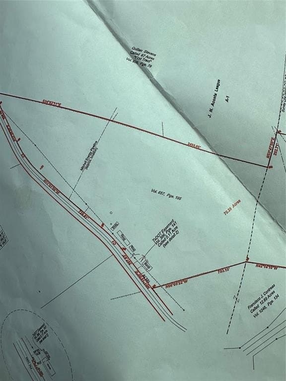14 acres in Limestone County gallery image 4
