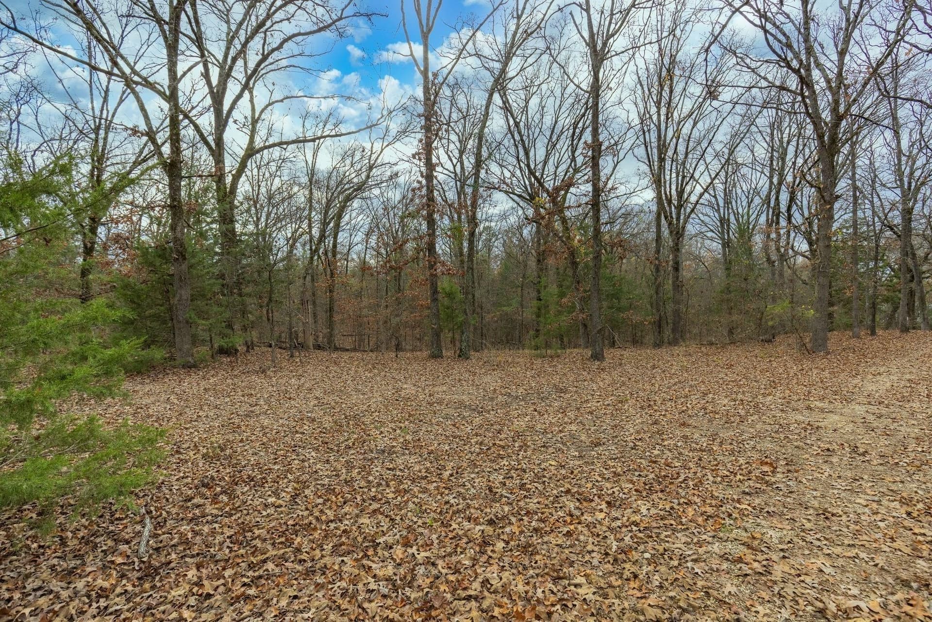 12.28 acres in Camp County - photo 13
