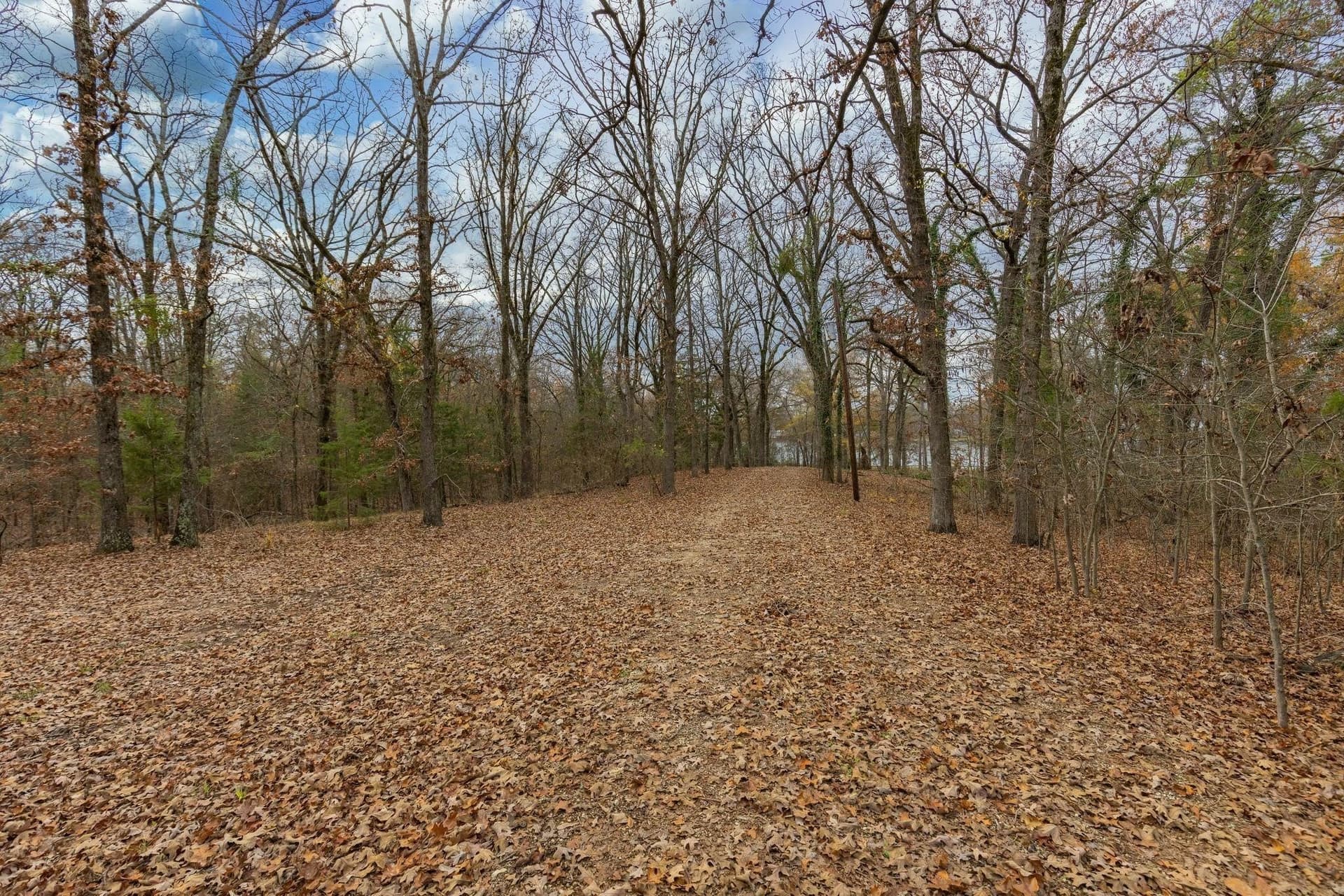 12.28 acres in Camp County - photo 14