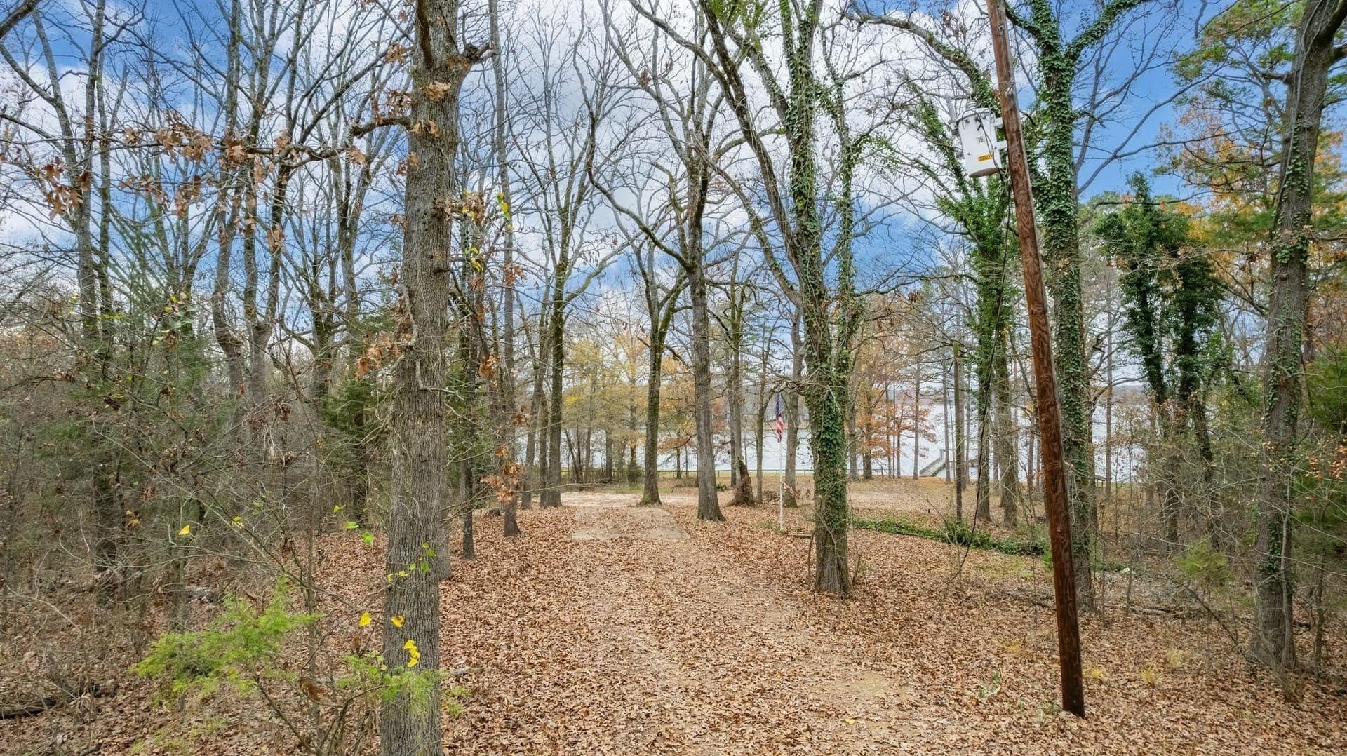 12.28 acres in Camp County - photo 11