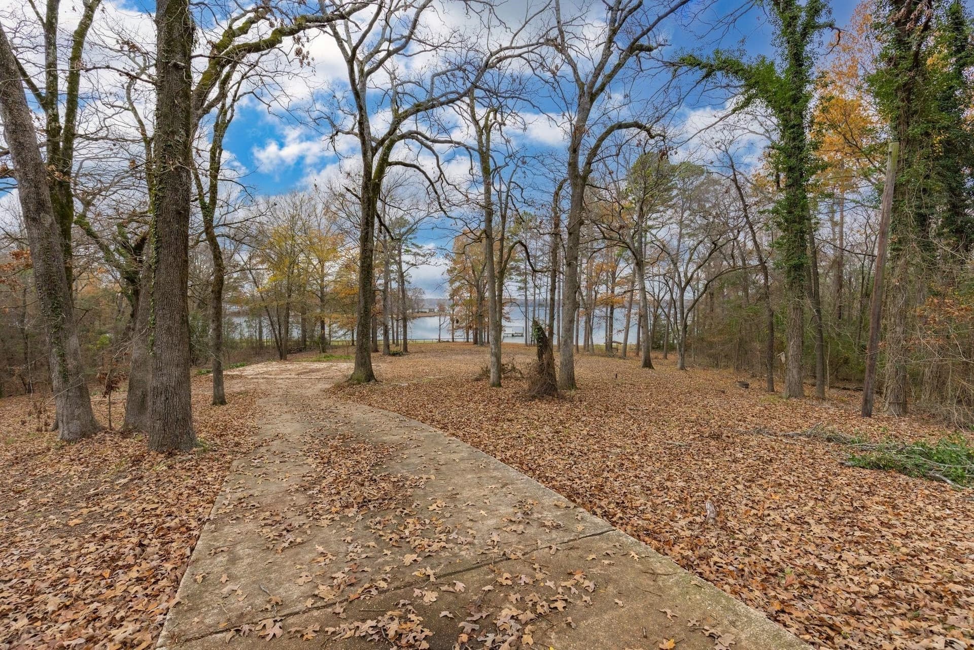 12.28 acres in Camp County - photo 21