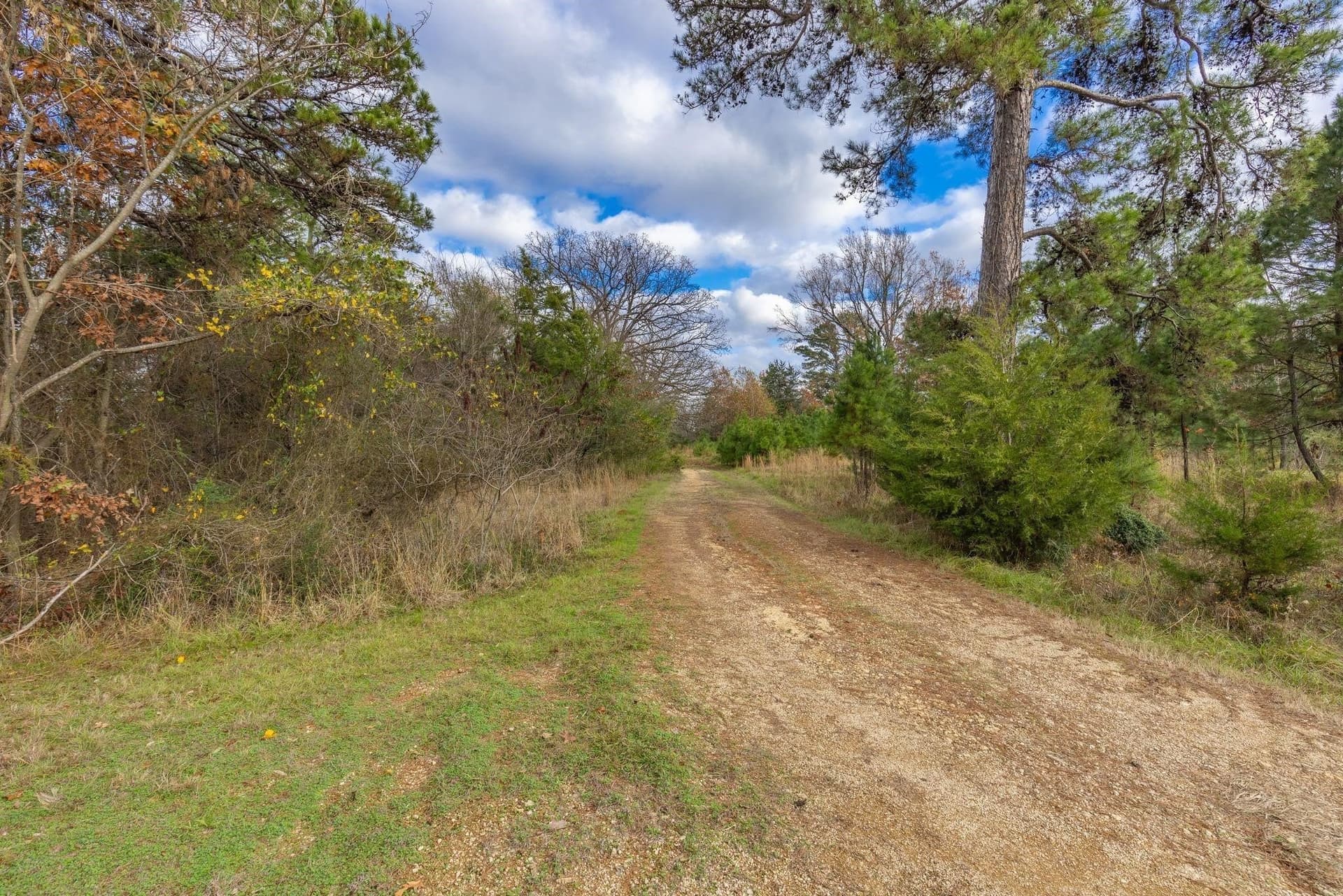 12.28 acres in Camp County - photo 10