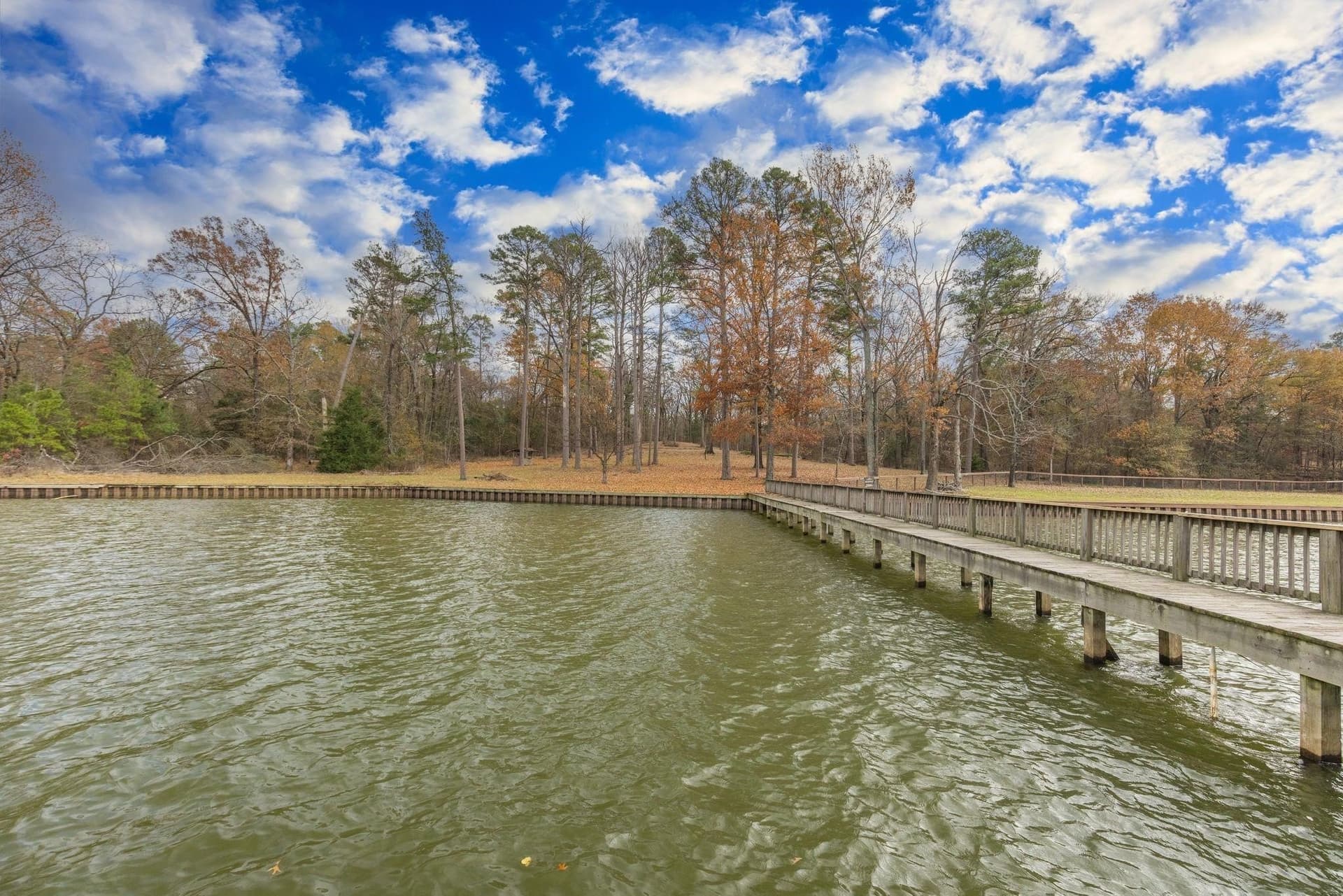 12.28 acres in Camp County - photo 7
