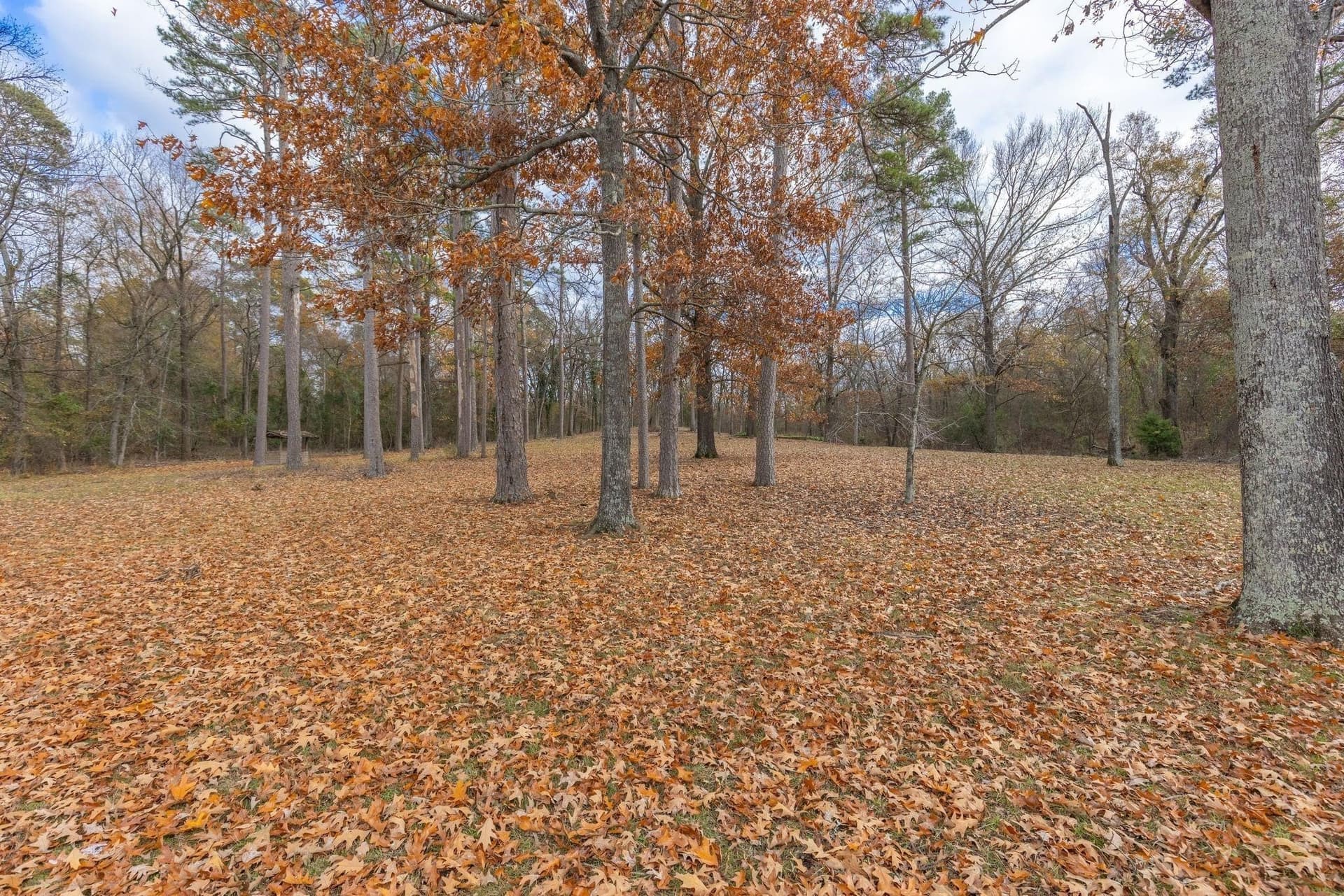 12.28 acres in Camp County - photo 12