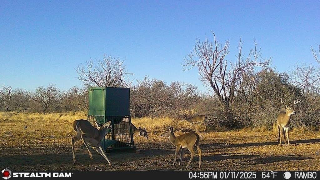 332.71 acres in Coleman County featured view