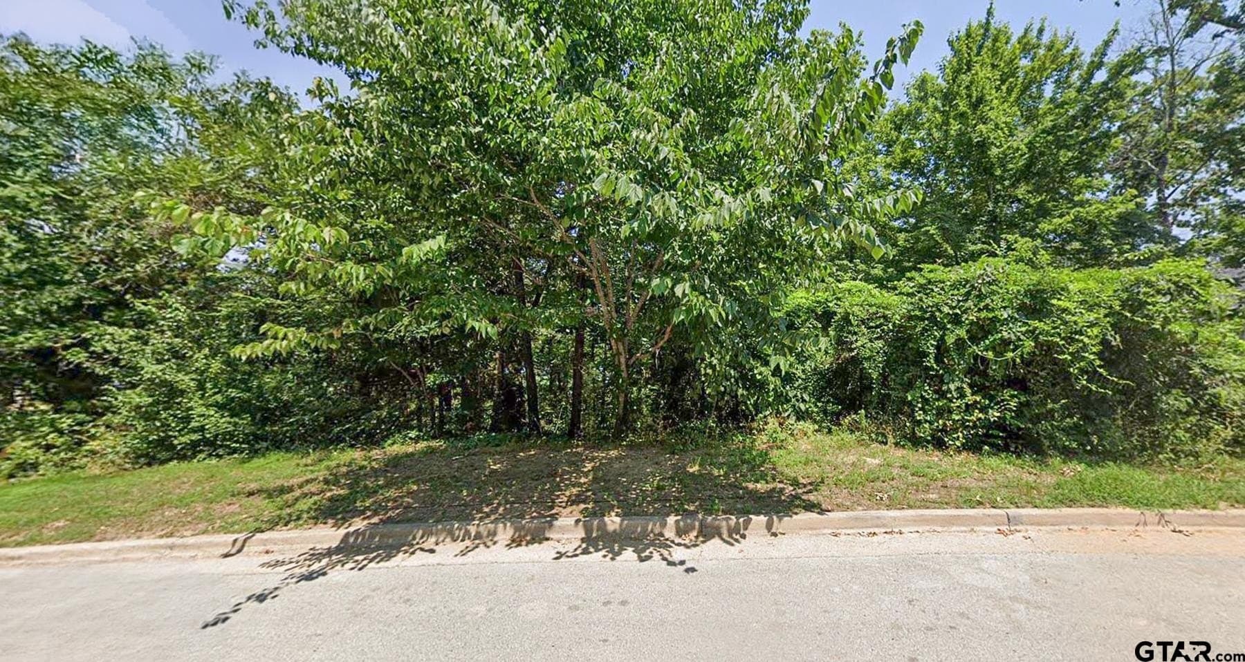0.86 acres in Smith County gallery image 3
