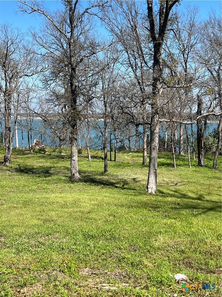 0.44 acres in Bell County - photo 6