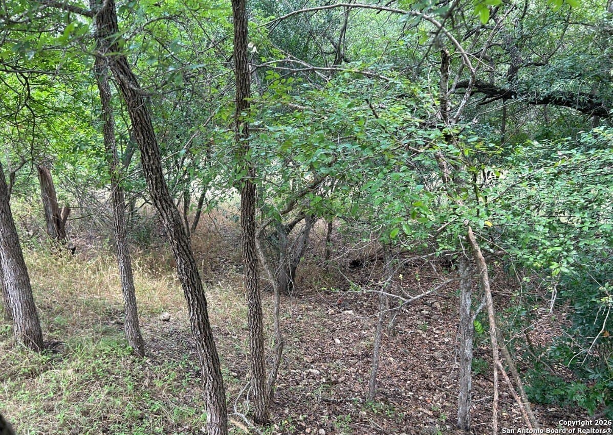 1.73 acres in Bexar County gallery image 4