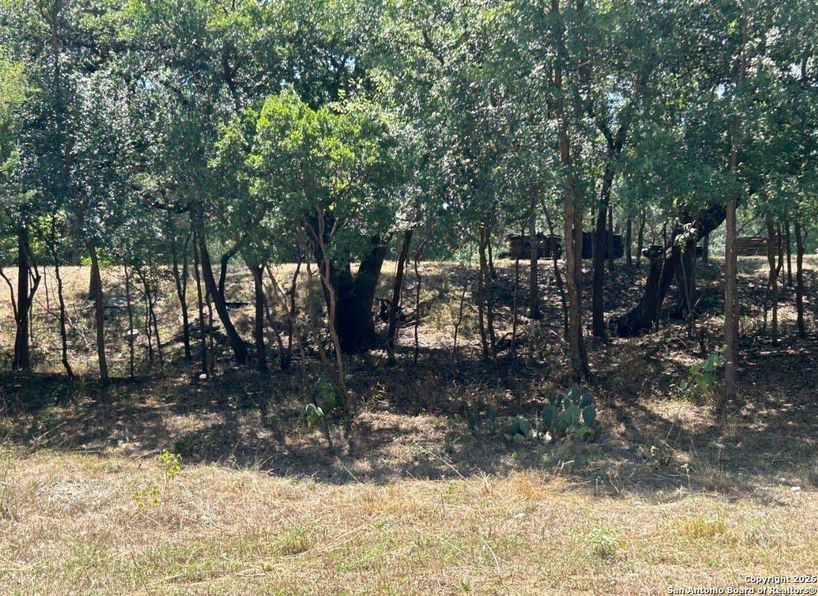 1.73 acres in Bexar County gallery image 2