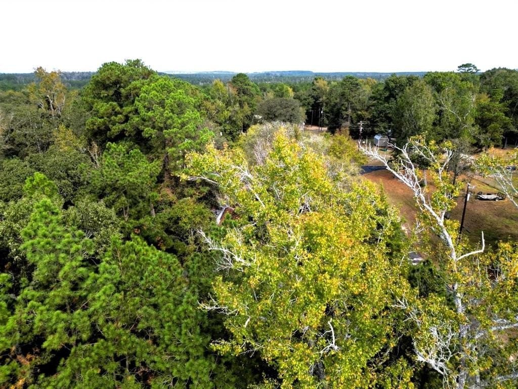 0.35 acres in Trinity County gallery image 3