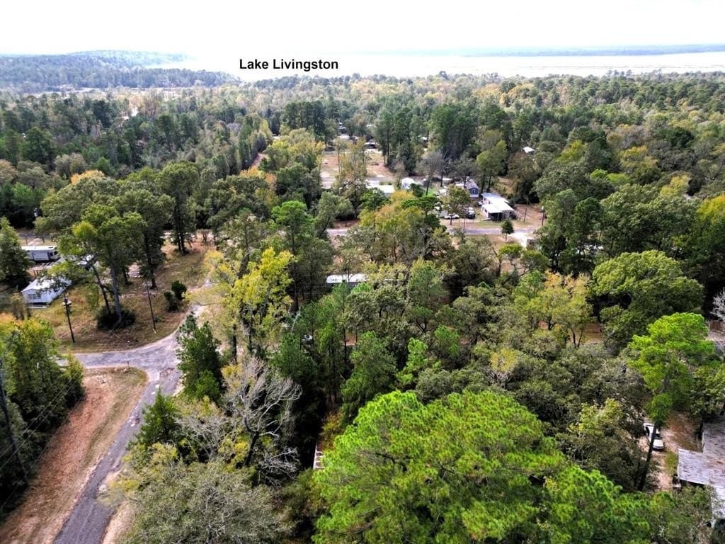 0.35 acres in Trinity County gallery image 2