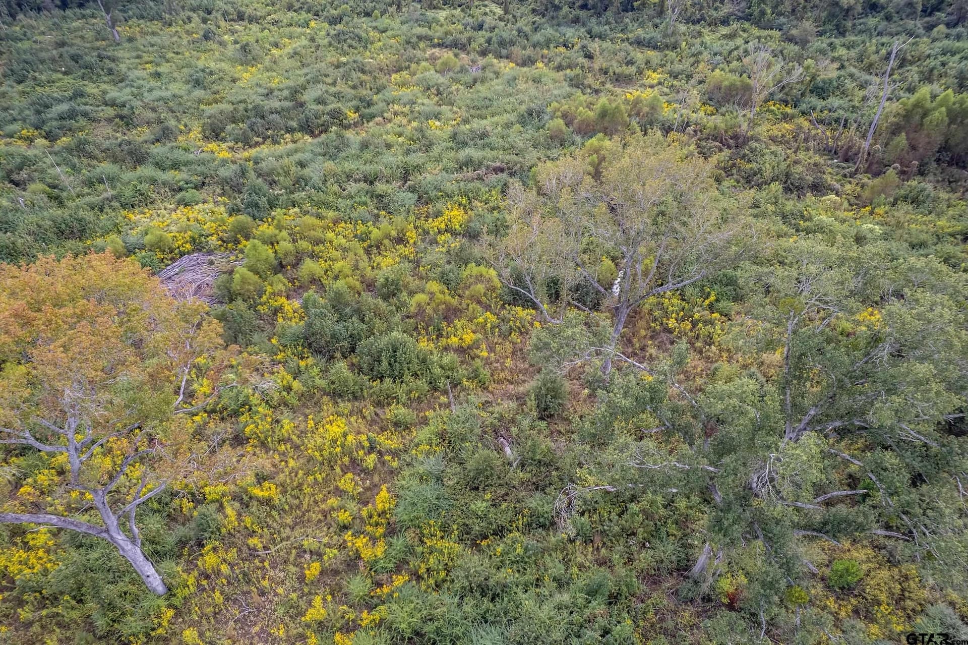 49.87 acres in Smith County - photo 15