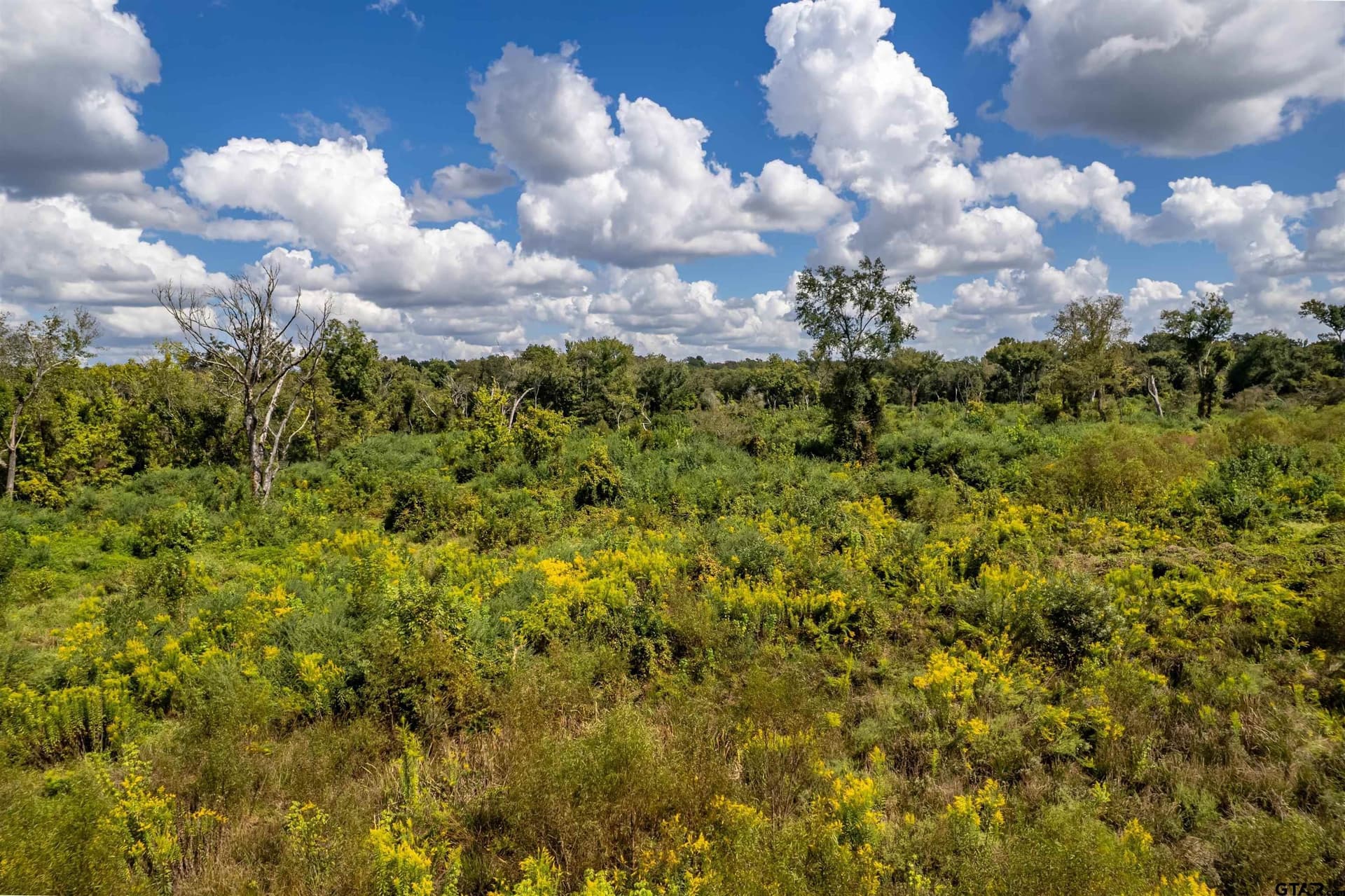 49.87 acres in Smith County - photo 11