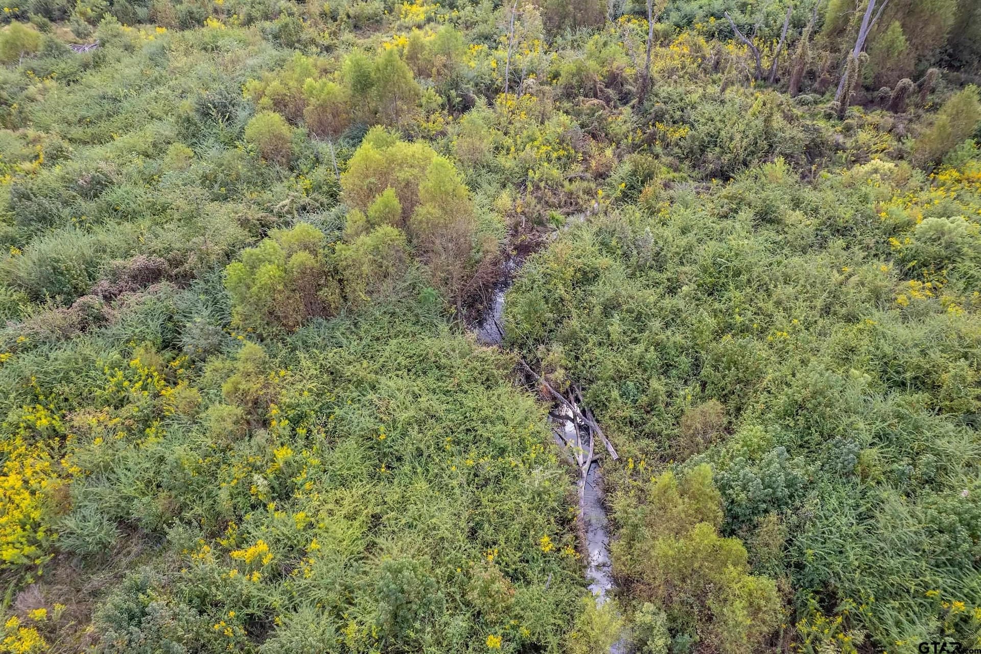 49.87 acres in Smith County - photo 8