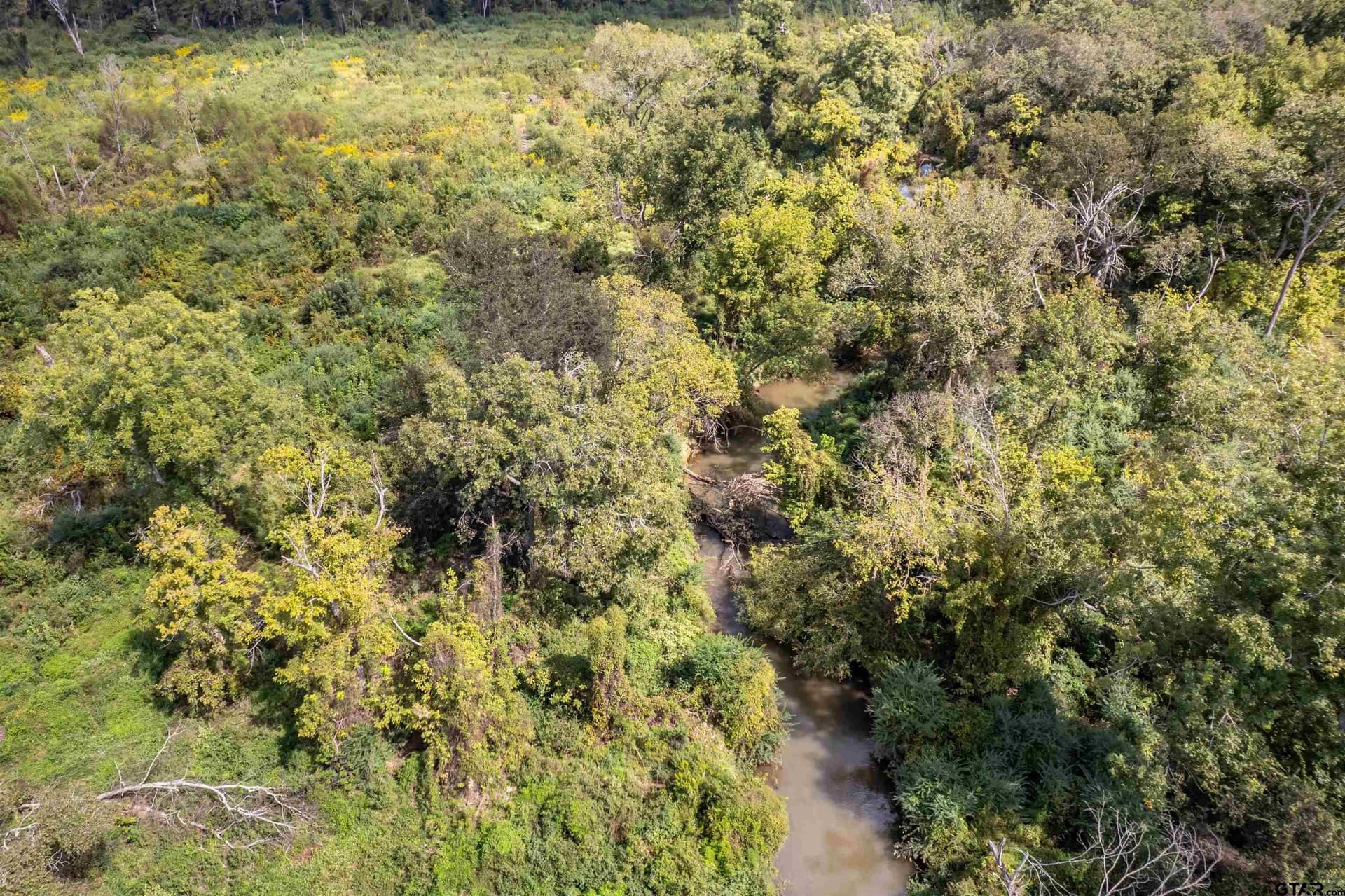 49.87 acres in Smith County - photo 9