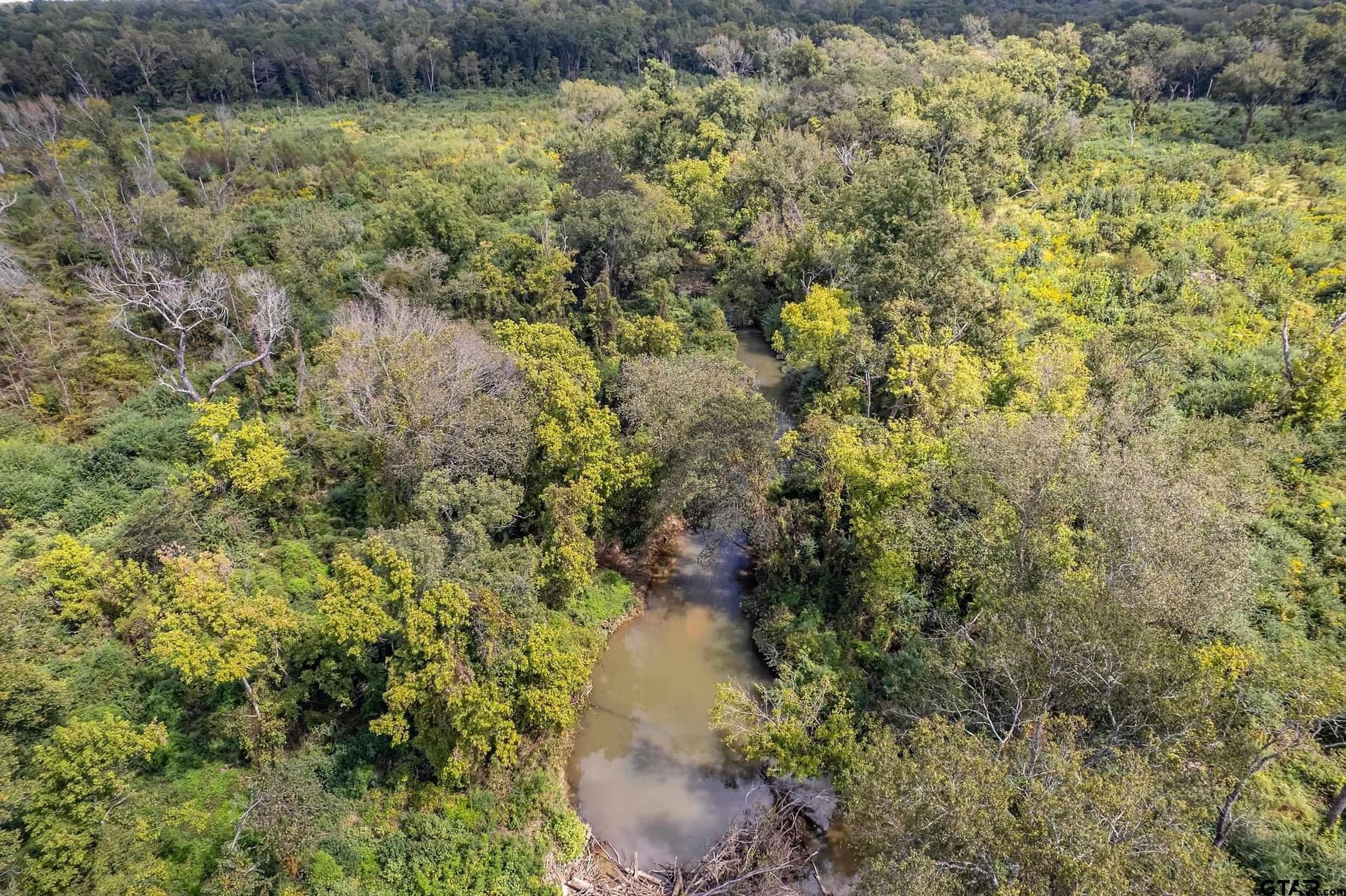 49.87 acres in Smith County - photo 7