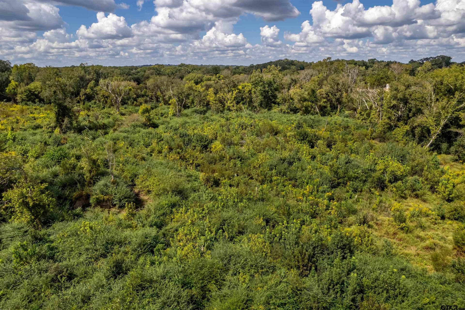 49.87 acres in Smith County - photo 13