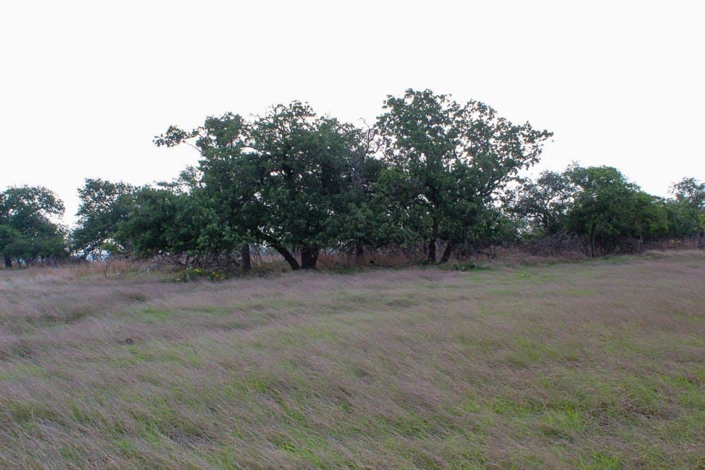 5.32 acres in Kerr County - photo 2