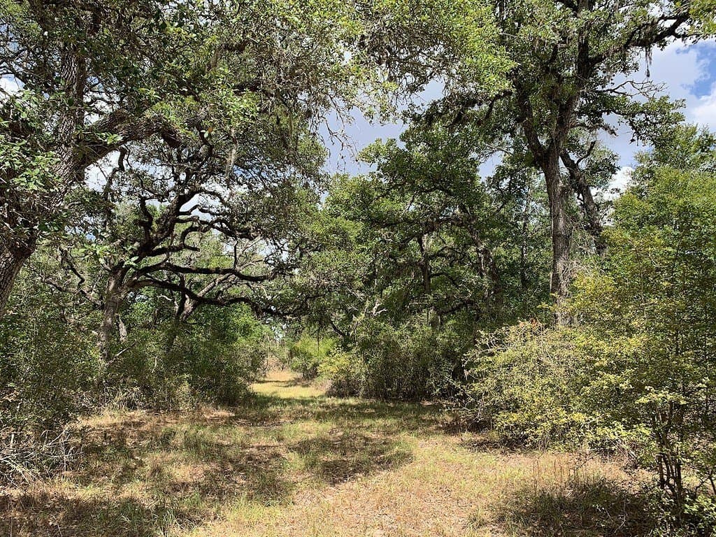 11 acres in Lavaca County