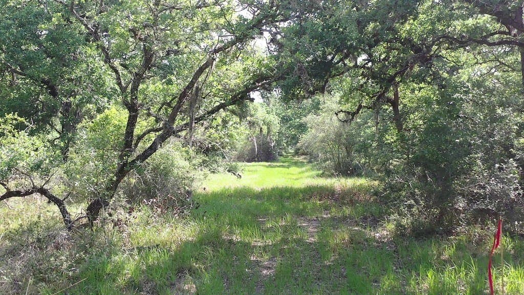 11 acres in Lavaca County featured view