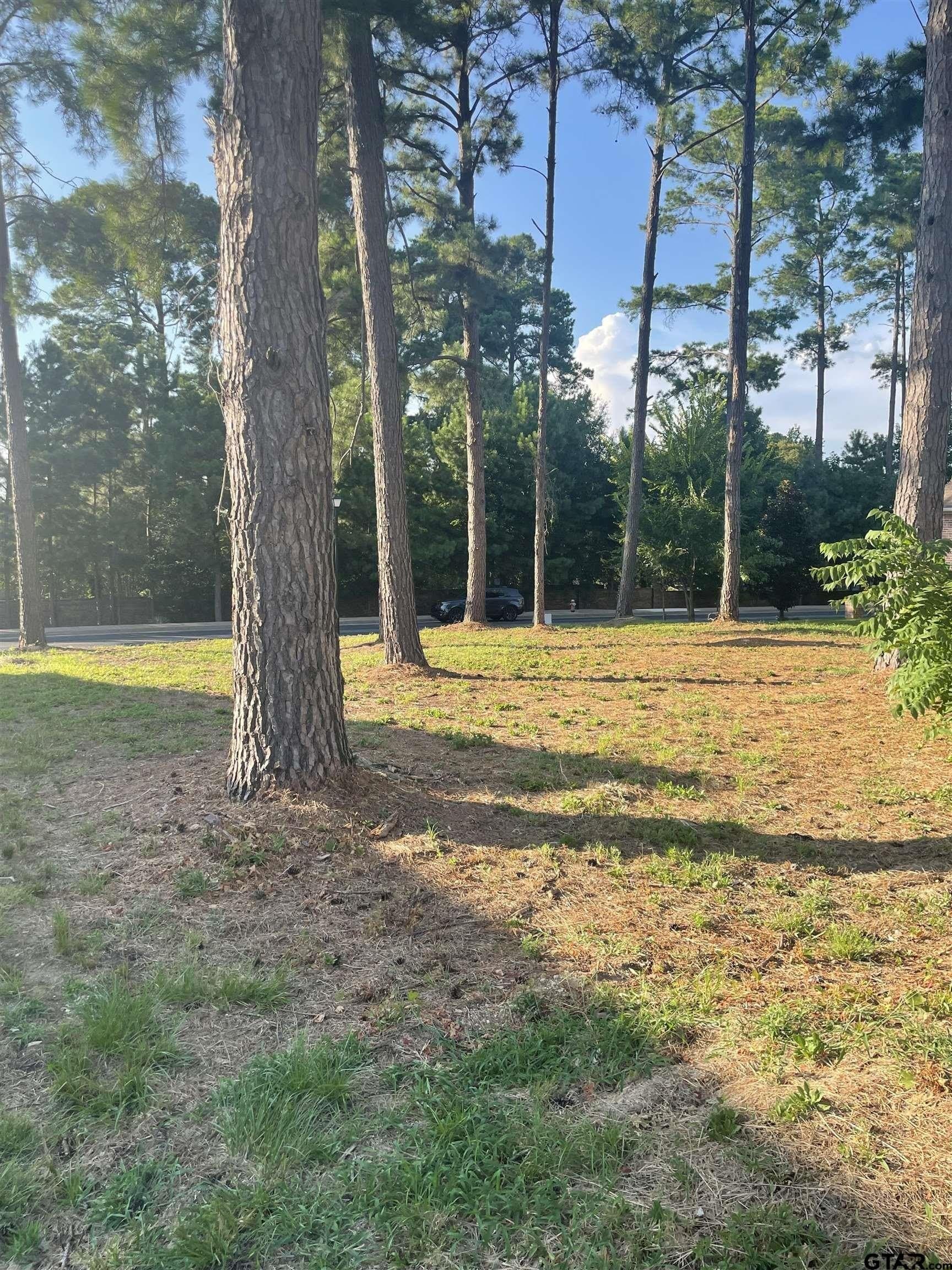 0.13 acres in Smith County - photo 4