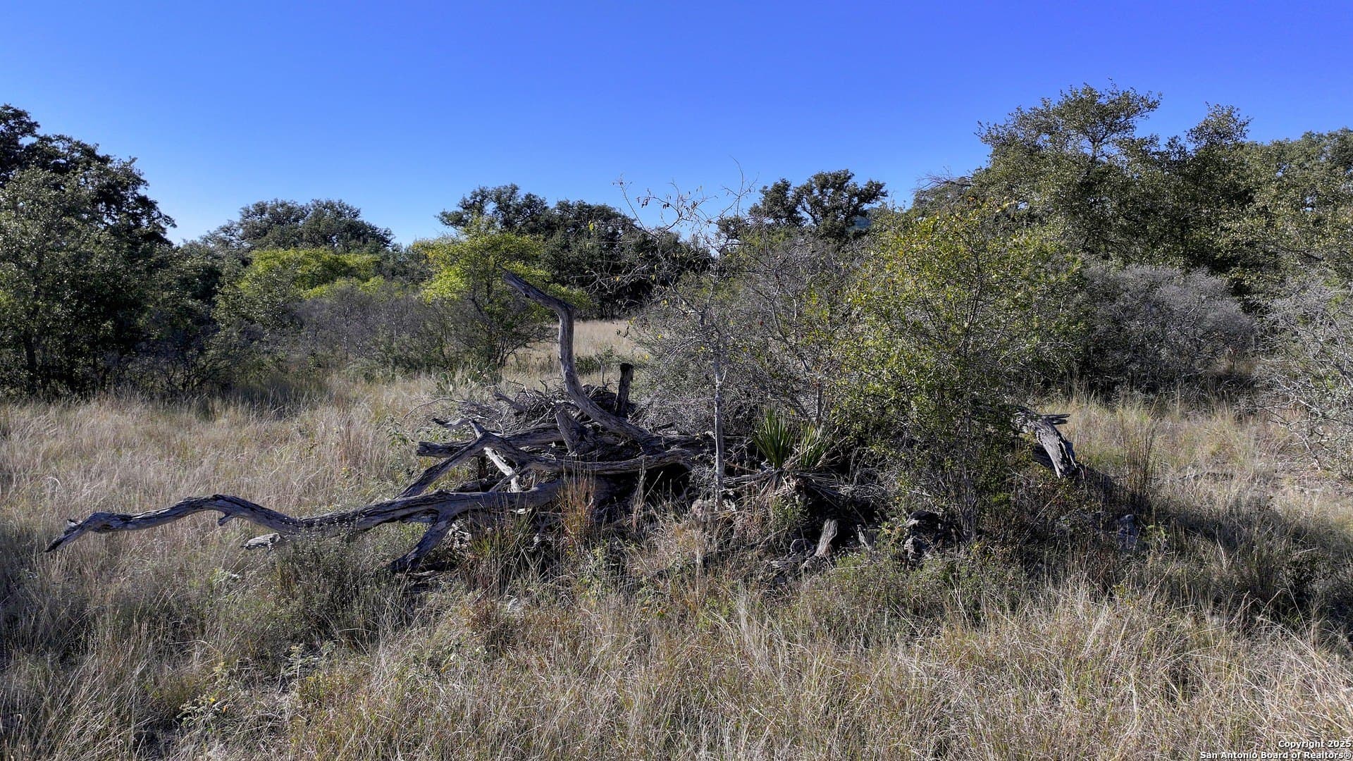10.43 acres in Bandera County - photo 27