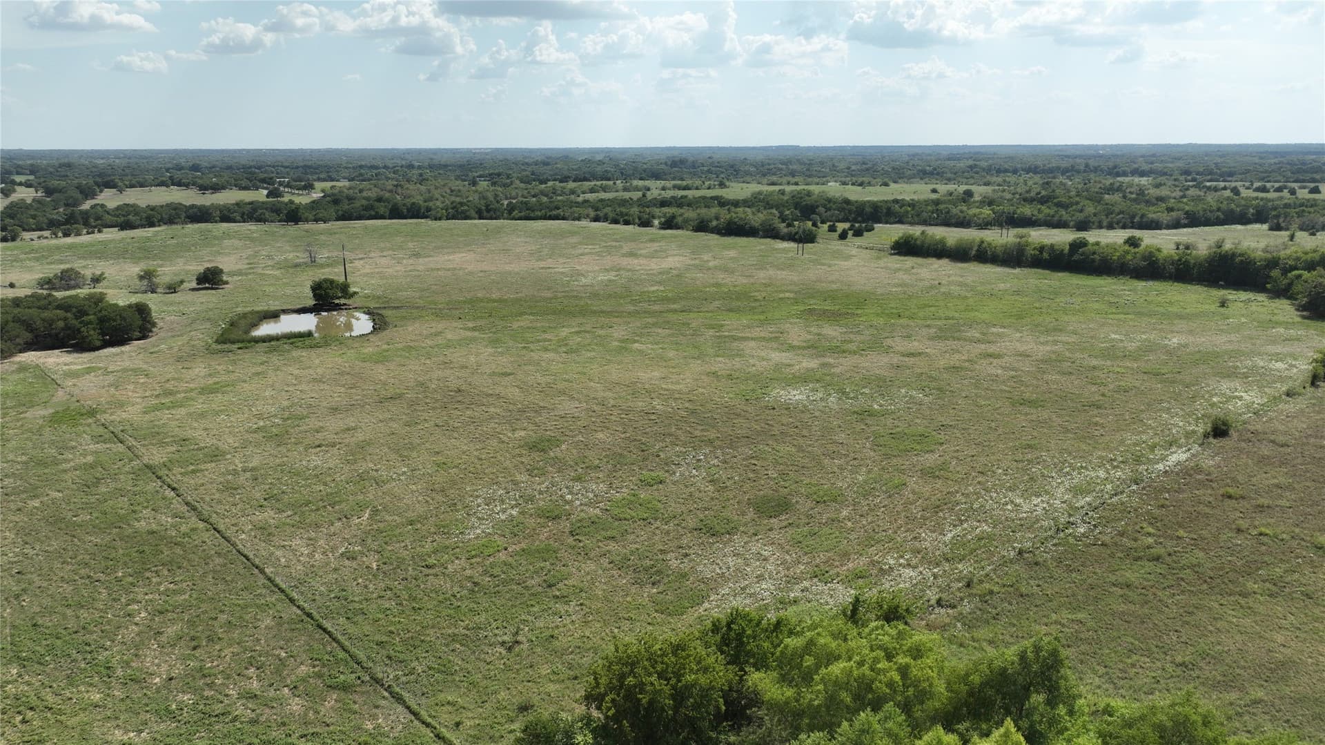 49.54 acres in Fannin County - photo 31