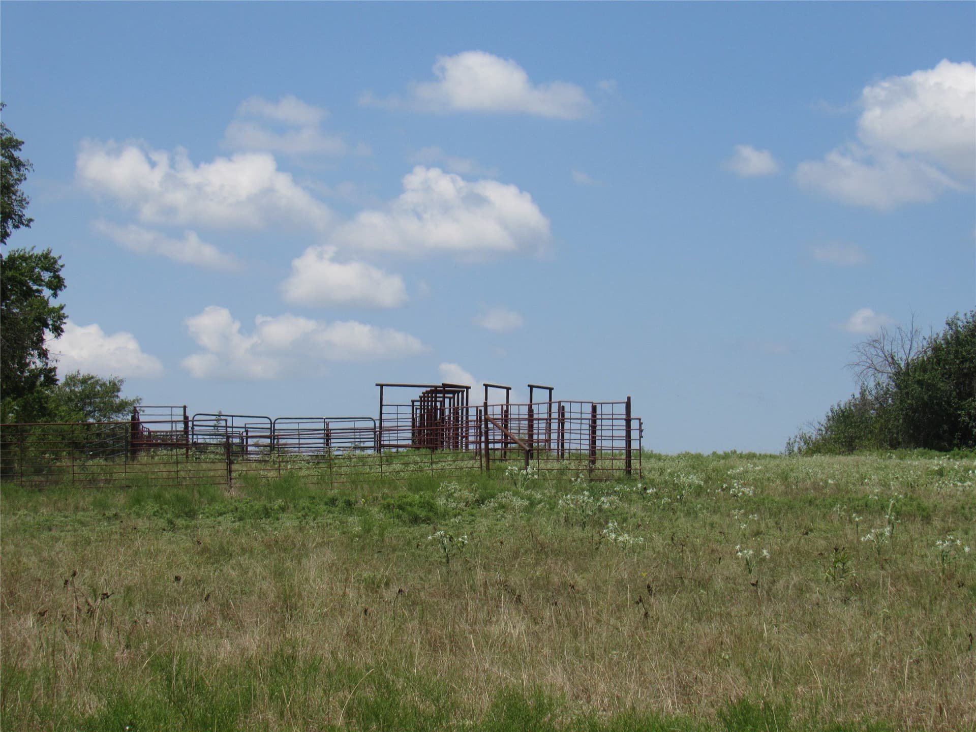 49.54 acres in Fannin County - photo 14