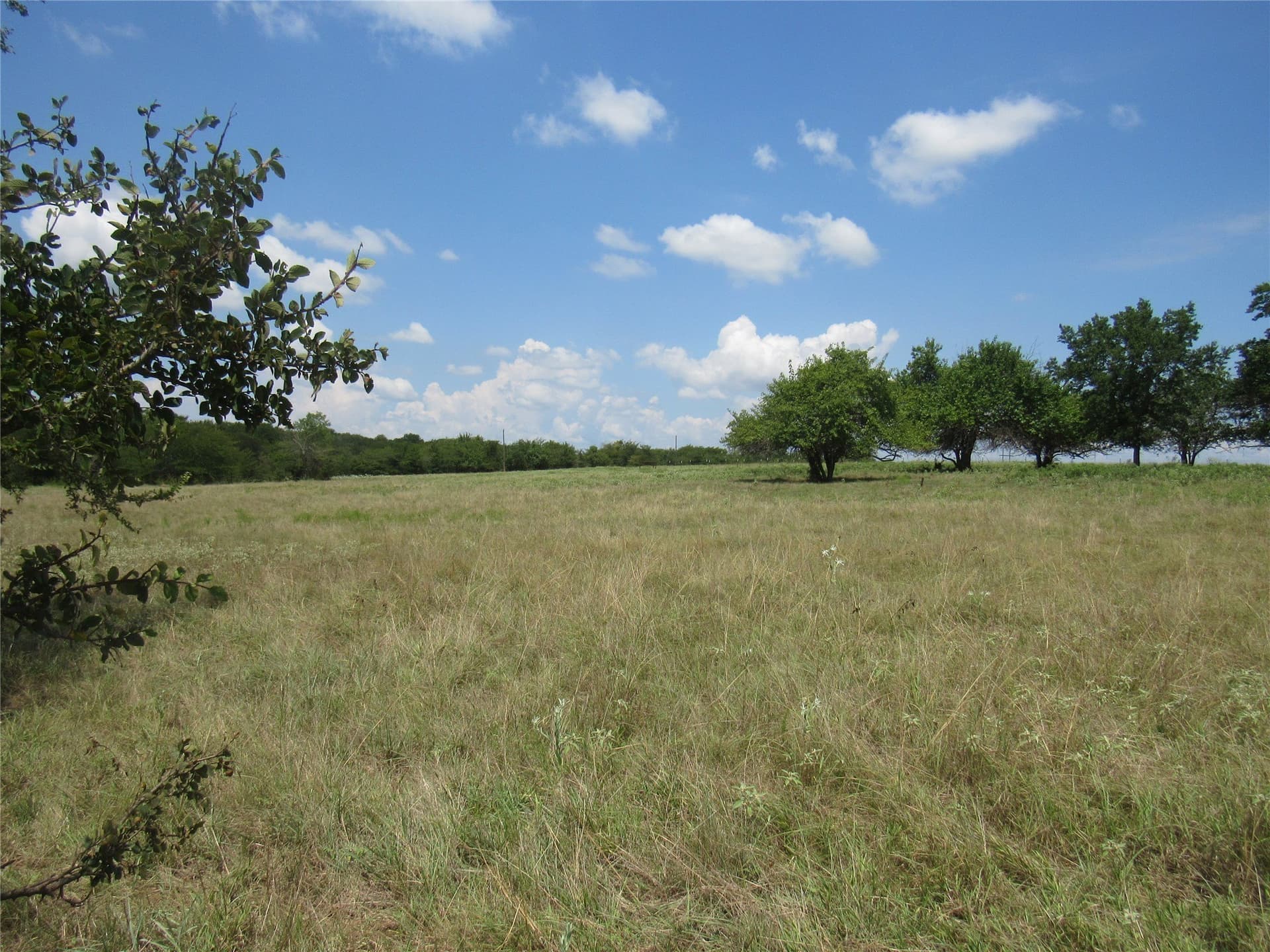 49.54 acres in Fannin County - photo 22