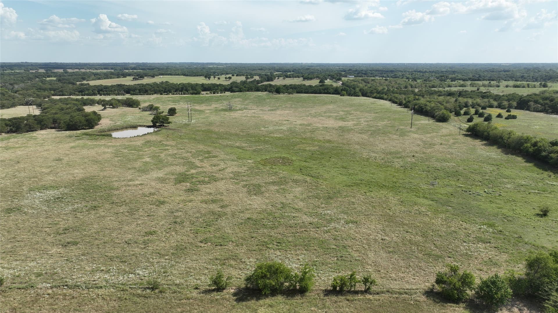 49.54 acres in Fannin County - photo 12
