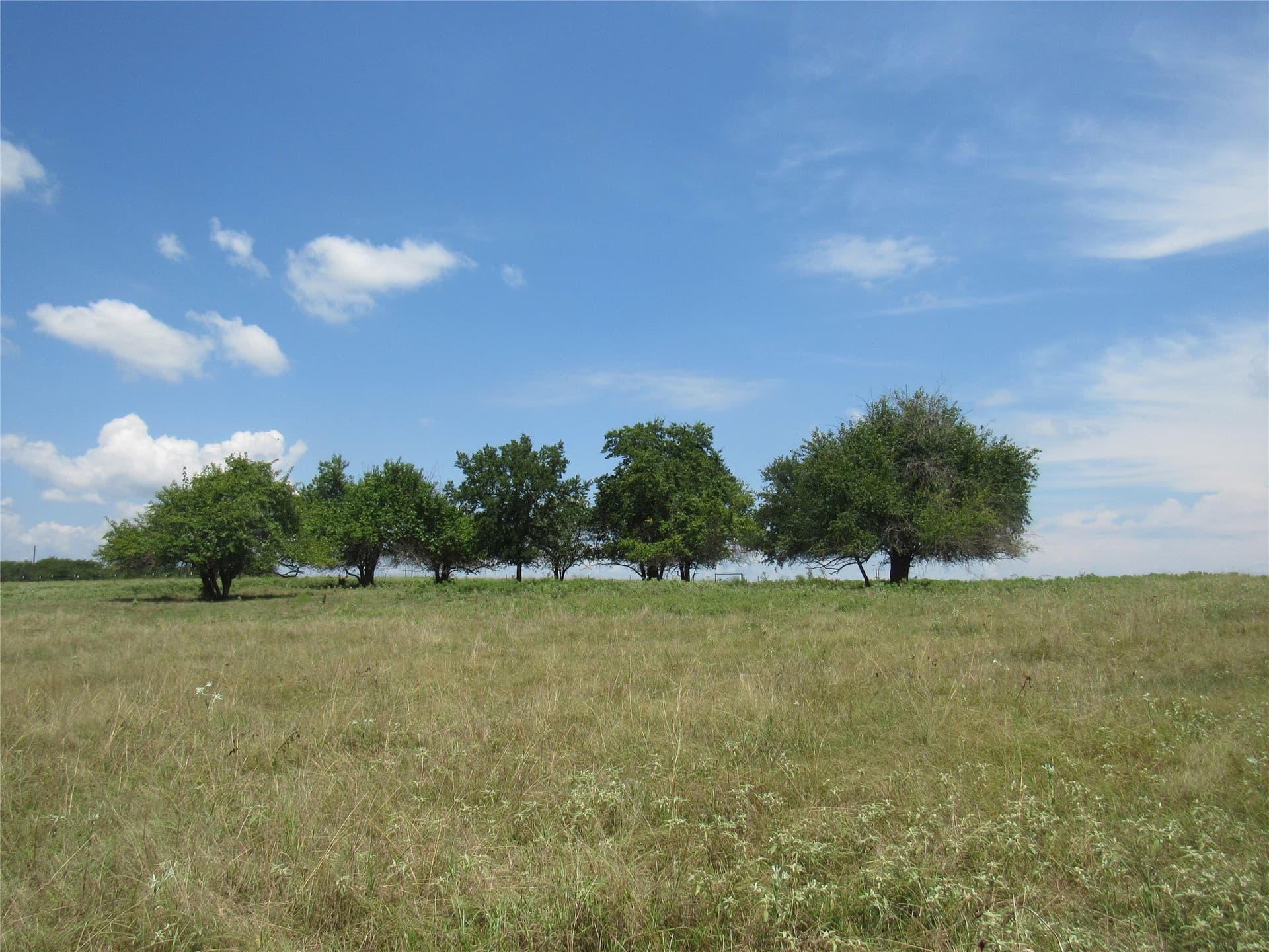 49.54 acres in Fannin County - photo 18