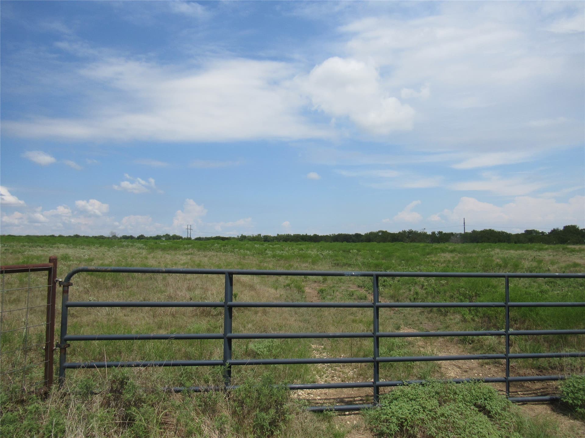 49.54 acres in Fannin County - photo 2