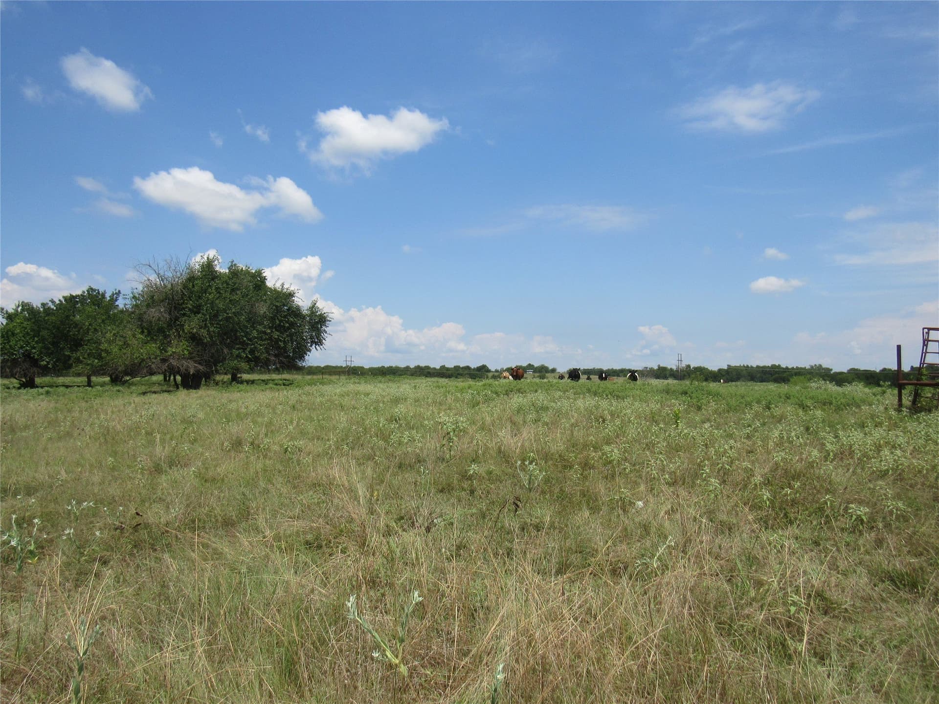 49.54 acres in Fannin County - photo 23