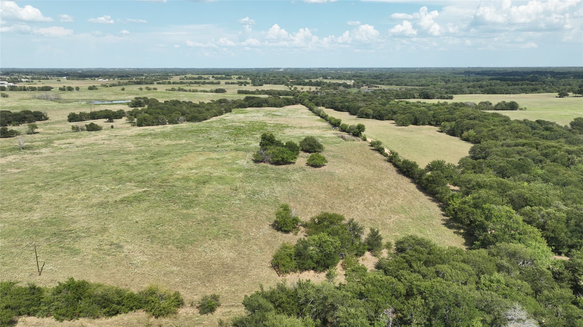 49.54 acres in Fannin County - photo 3