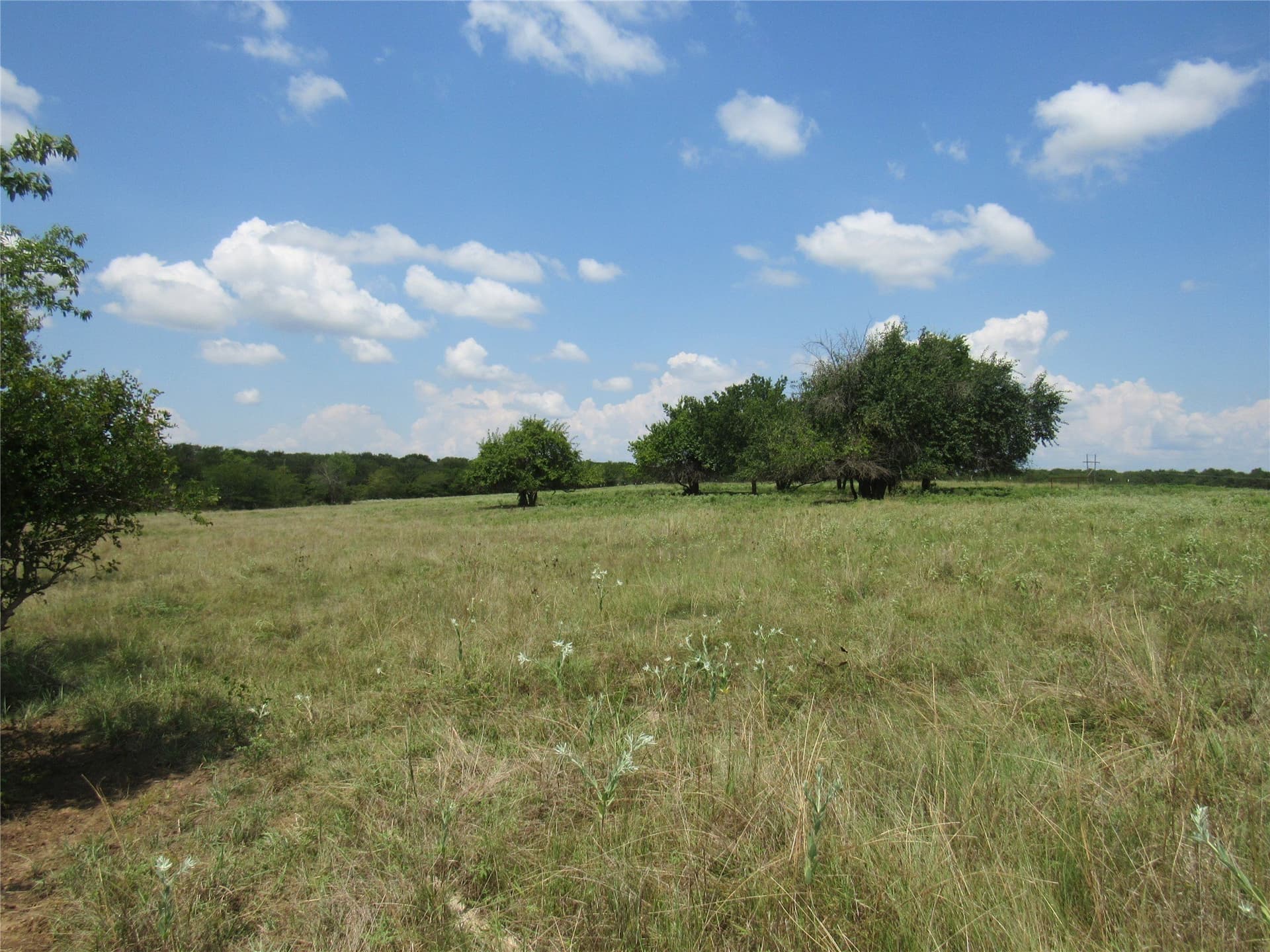 49.54 acres in Fannin County - photo 15