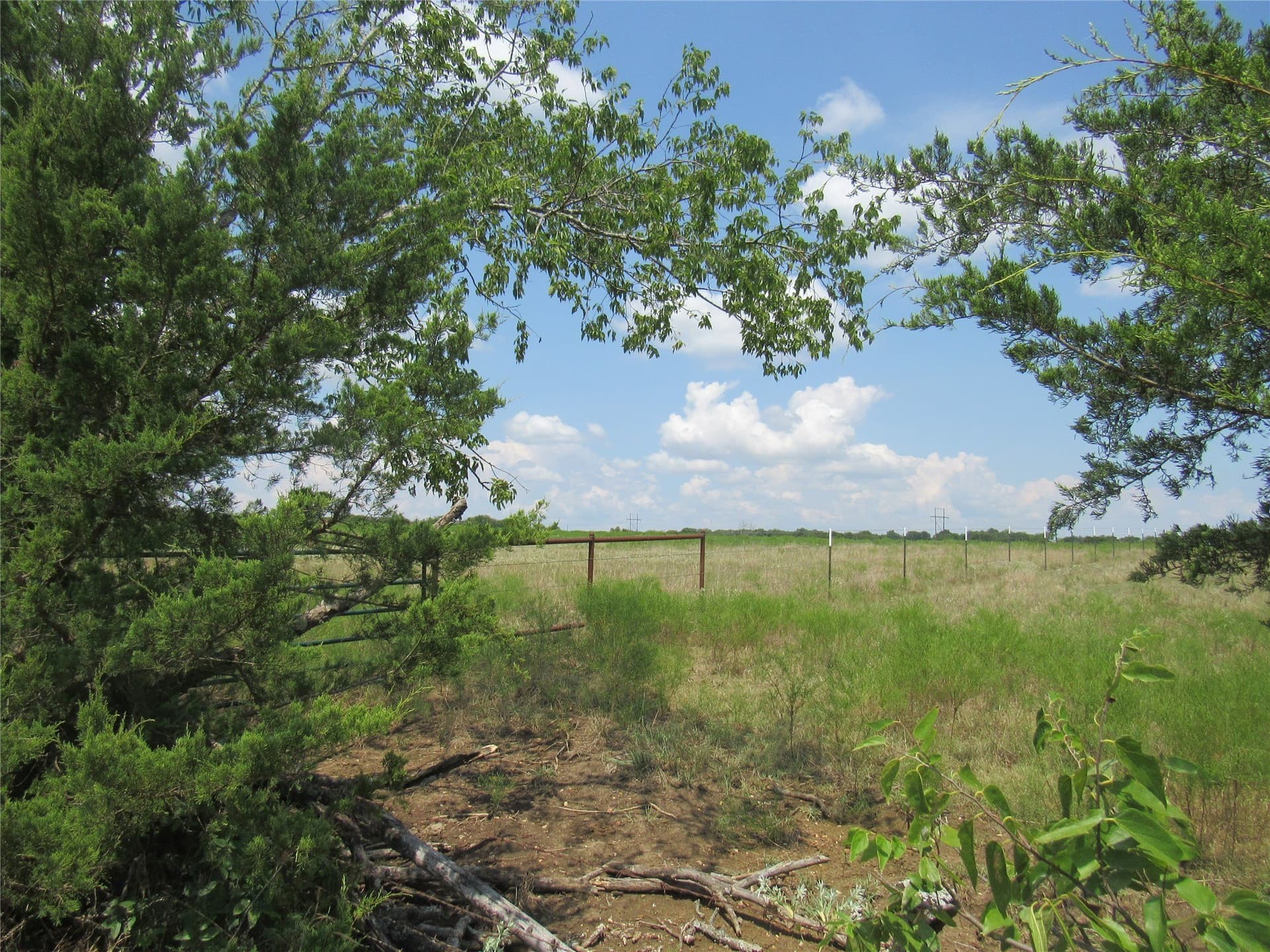 49.54 acres in Fannin County - photo 19