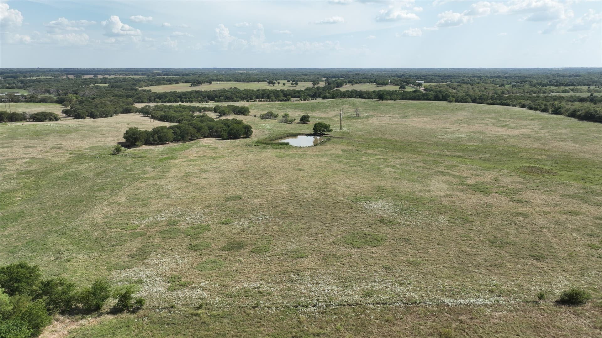 49.54 acres in Fannin County - photo 30