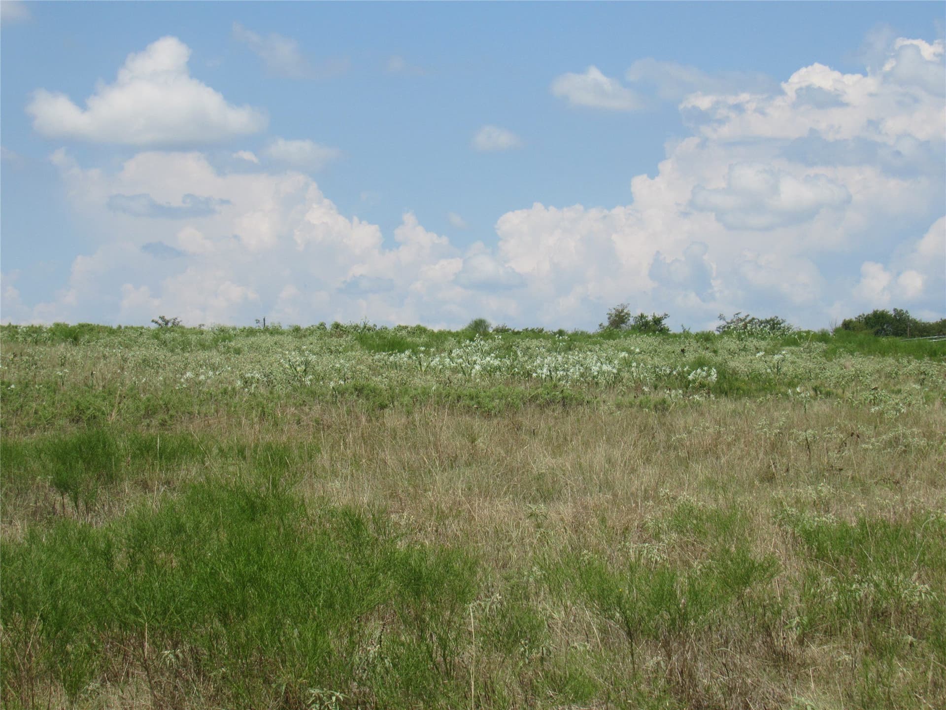 49.54 acres in Fannin County - photo 20