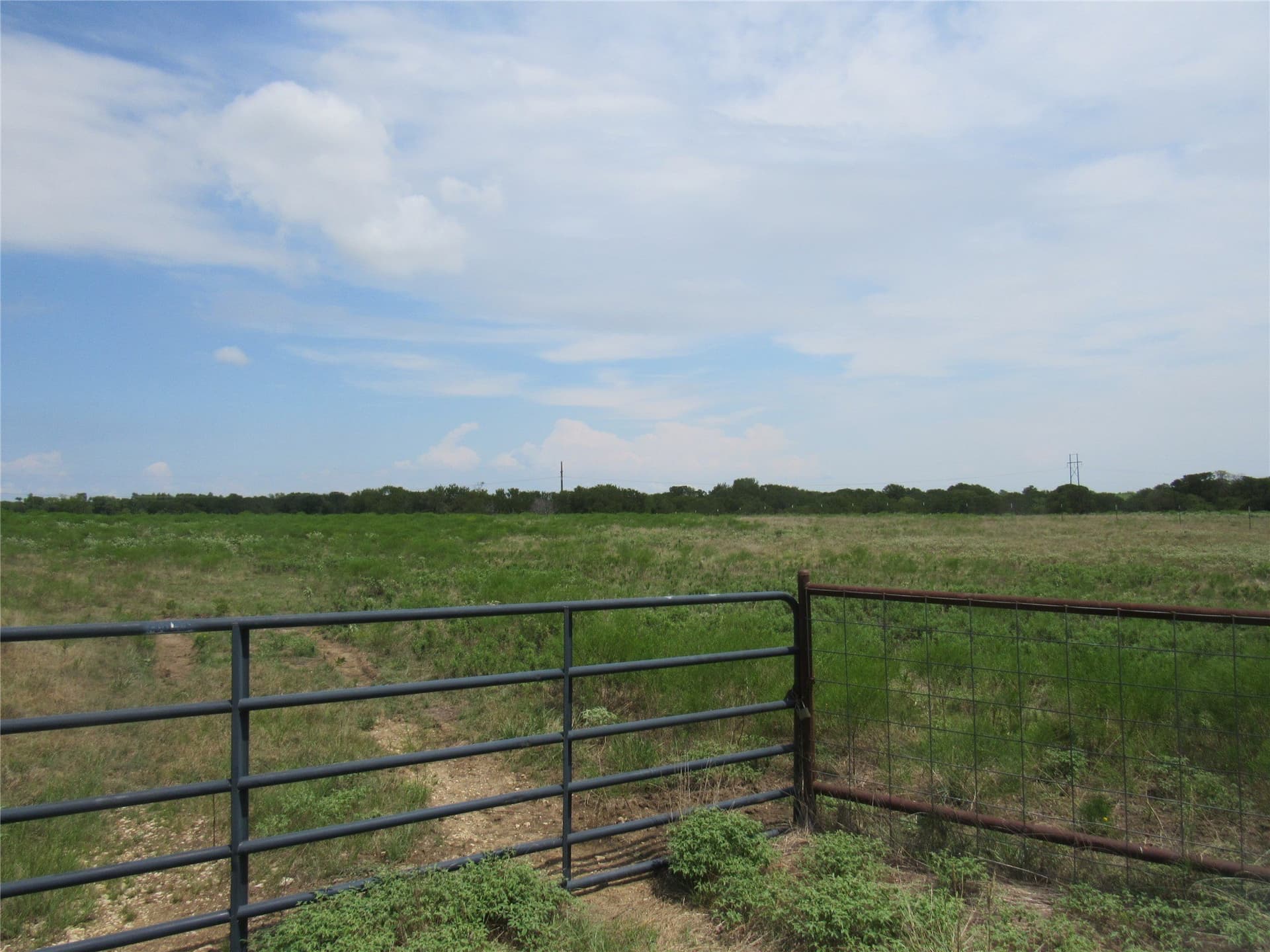 49.54 acres in Fannin County - photo 17